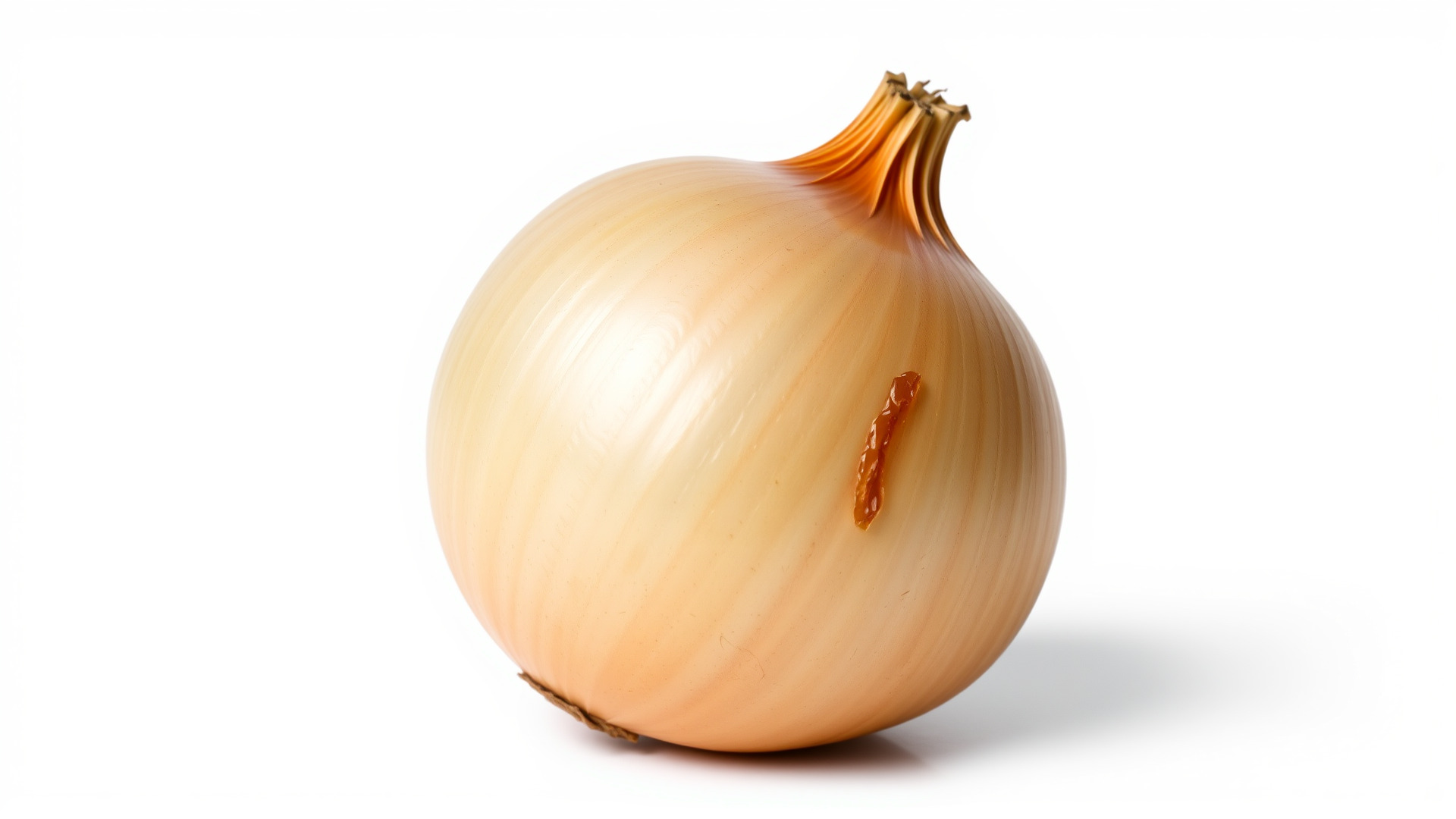 Silky Textured Onion 3D Model Pack Low-poly 3D model_3