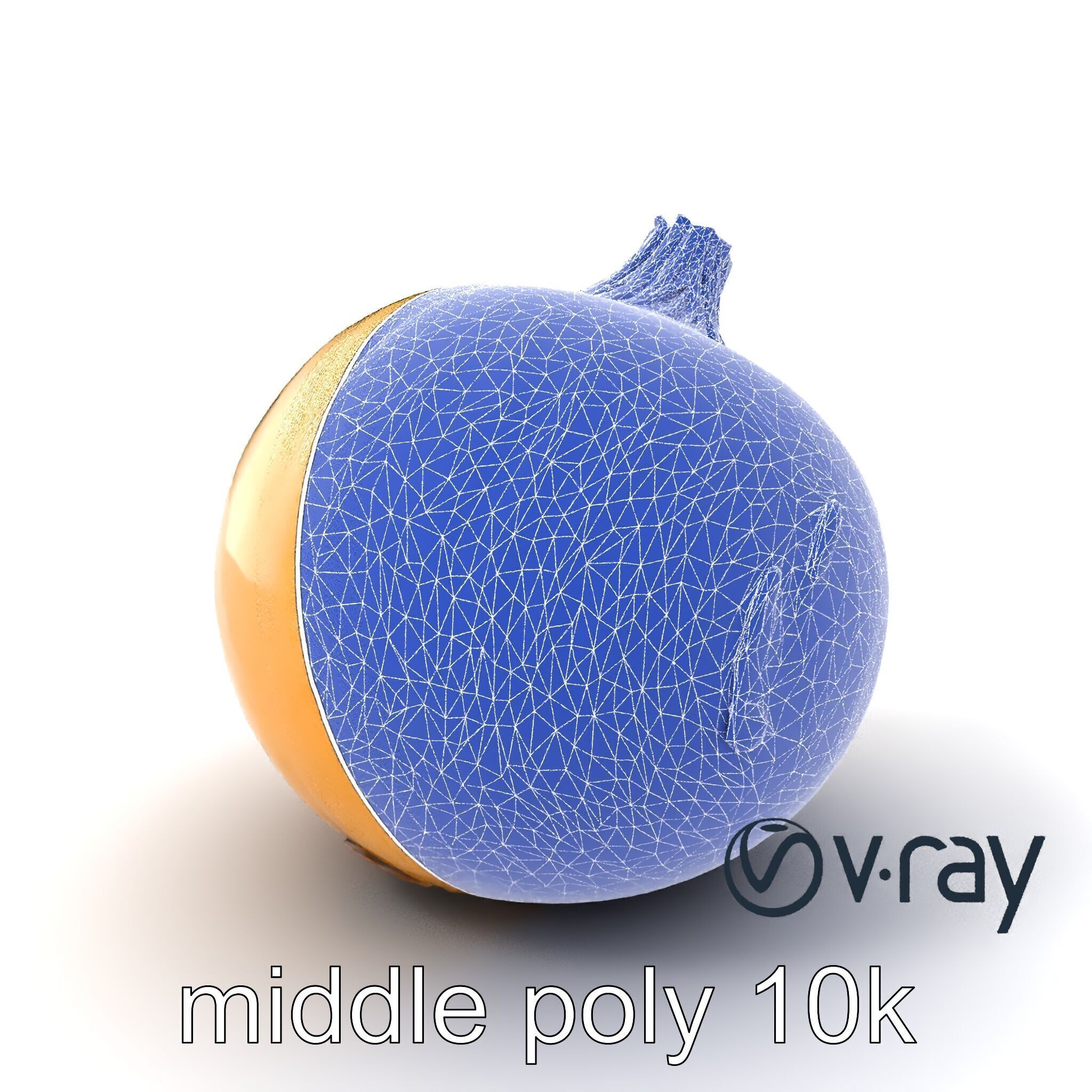 Silky Textured Onion 3D Model Pack Low-poly 3D model_4