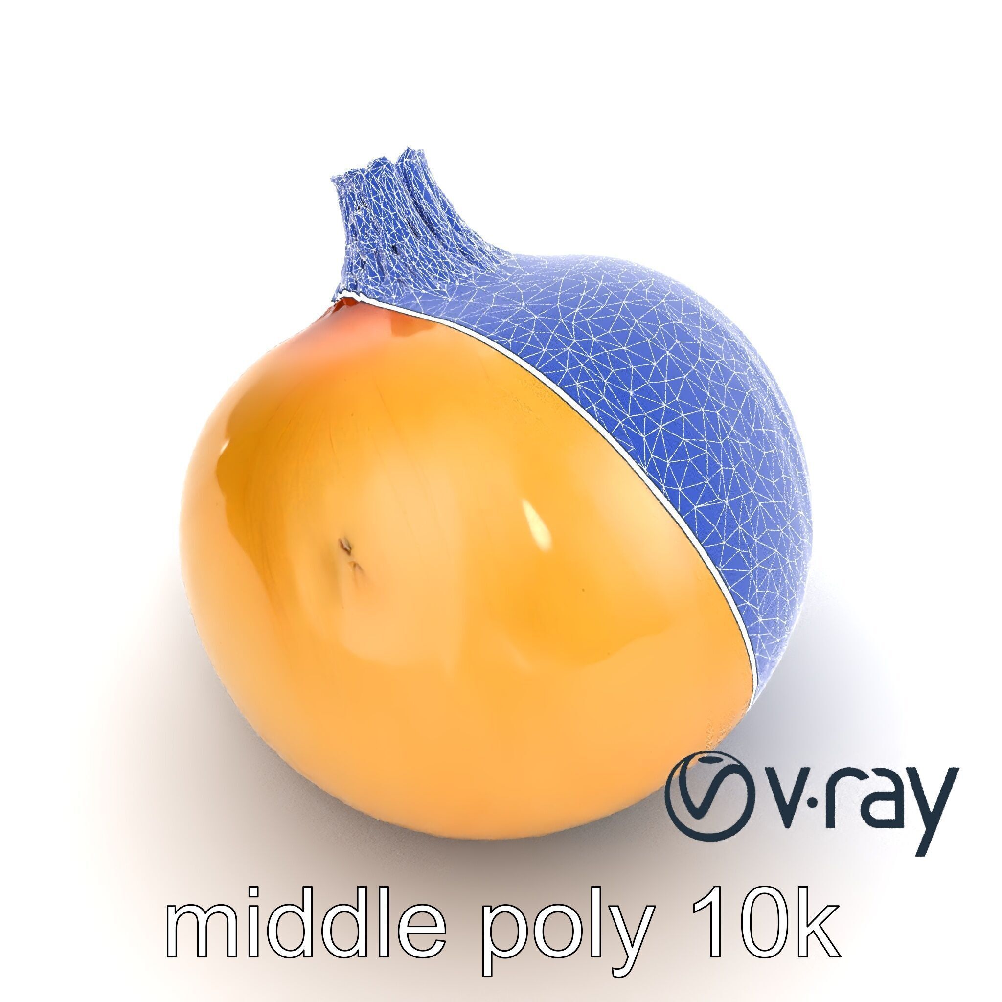 Silky Textured Onion 3D Model Pack Low-poly 3D model_13