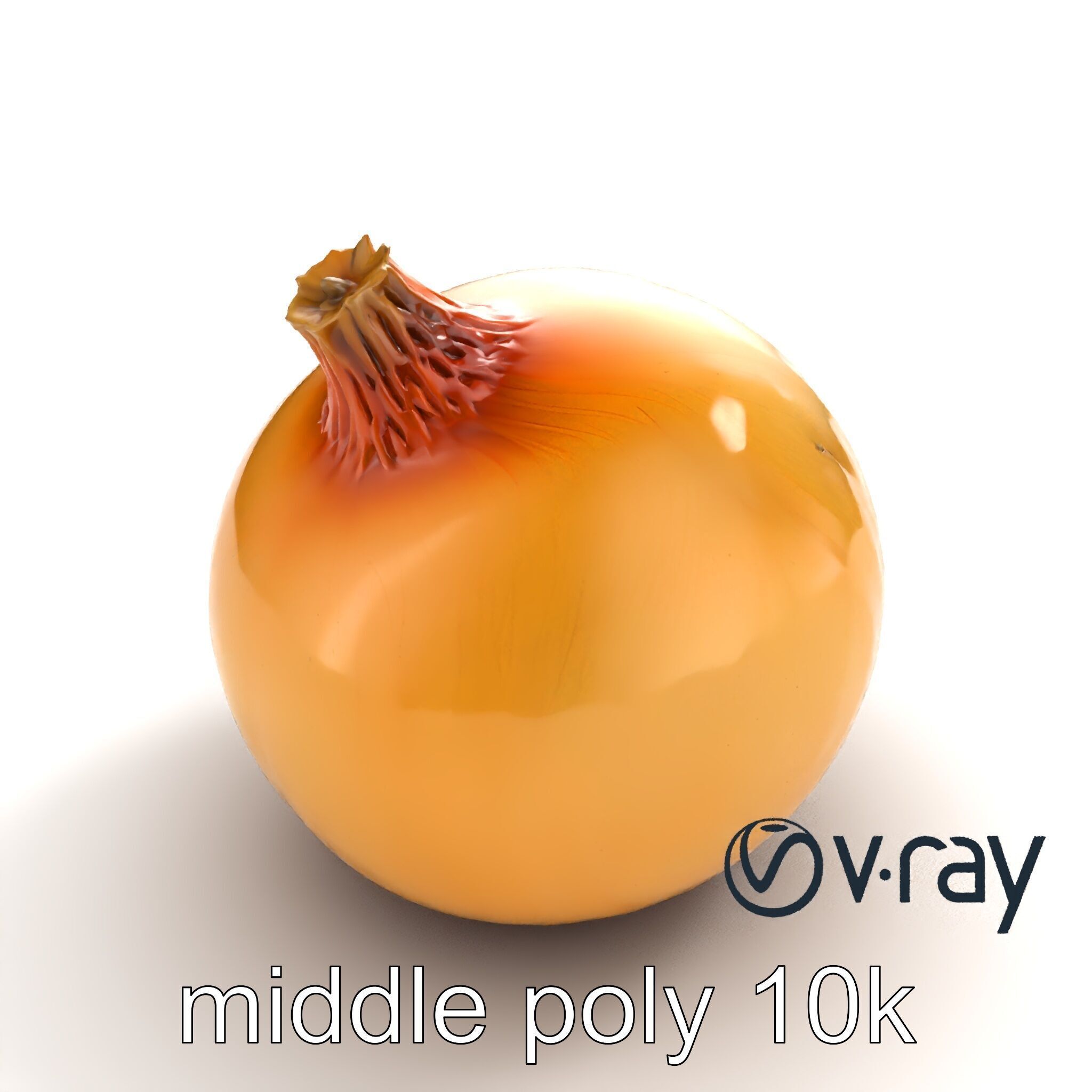 Silky Textured Onion 3D Model Pack Low-poly 3D model_7