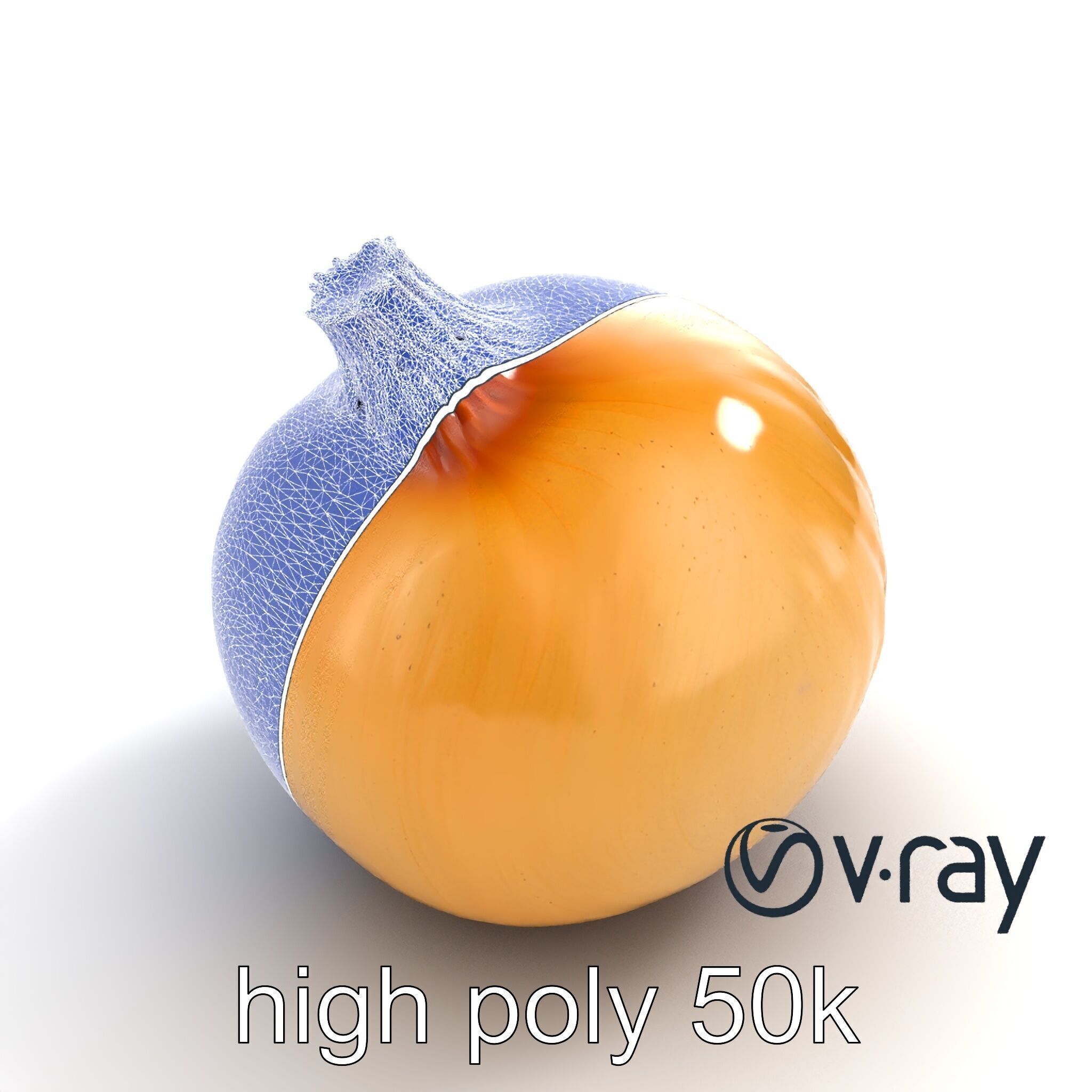 Silky Textured Onion 3D Model Pack Low-poly 3D model_29