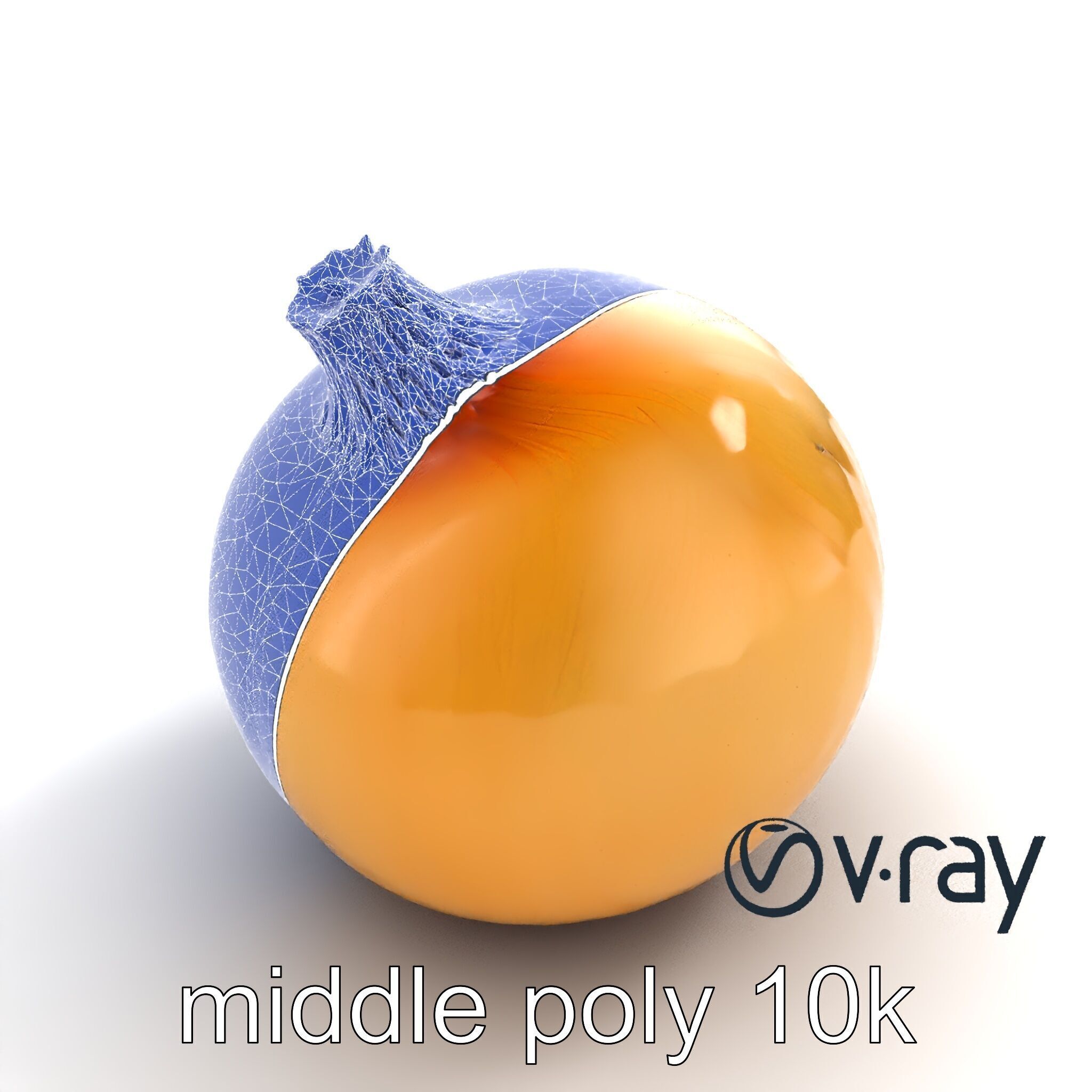 Silky Textured Onion 3D Model Pack Low-poly 3D model_15