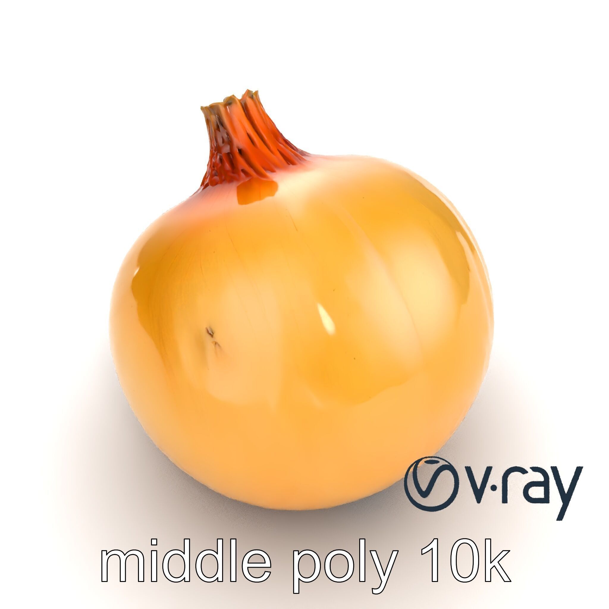 Silky Textured Onion 3D Model Pack Low-poly 3D model_10