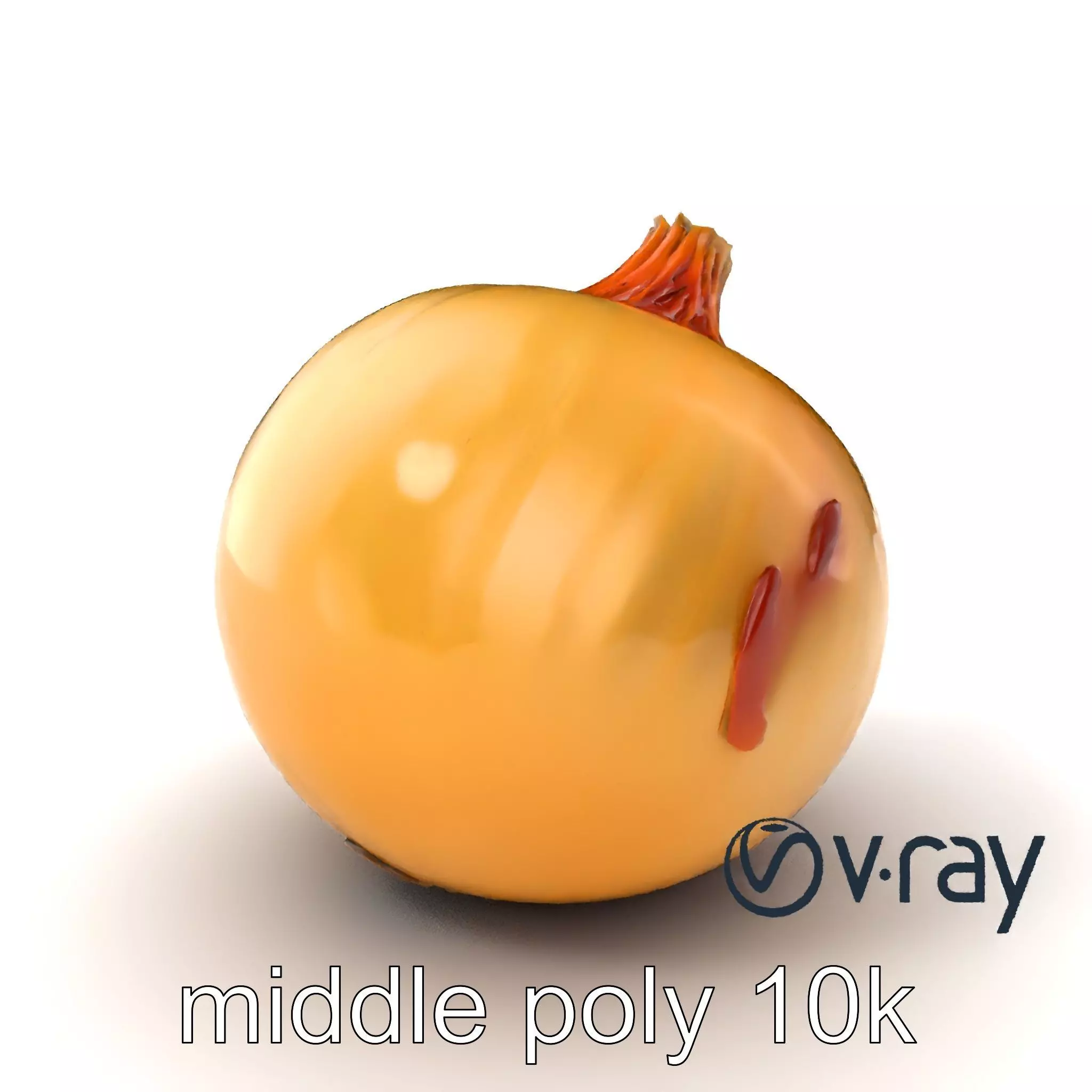 Silky Textured Onion 3D Model Pack Low-poly 3D model_0