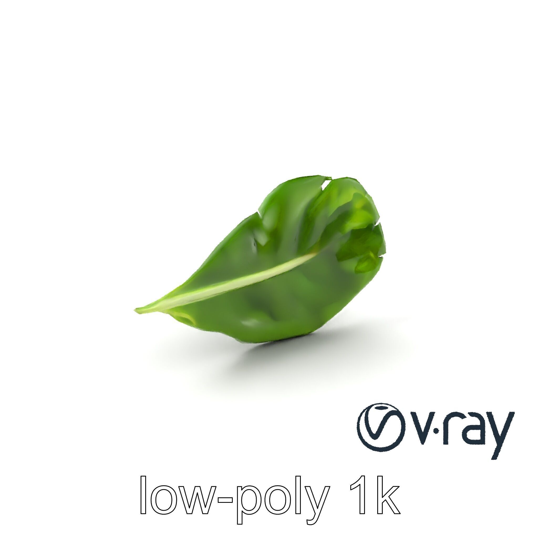 Spinach Leaf Natural Texture Model Pack Low-poly 3D model_2