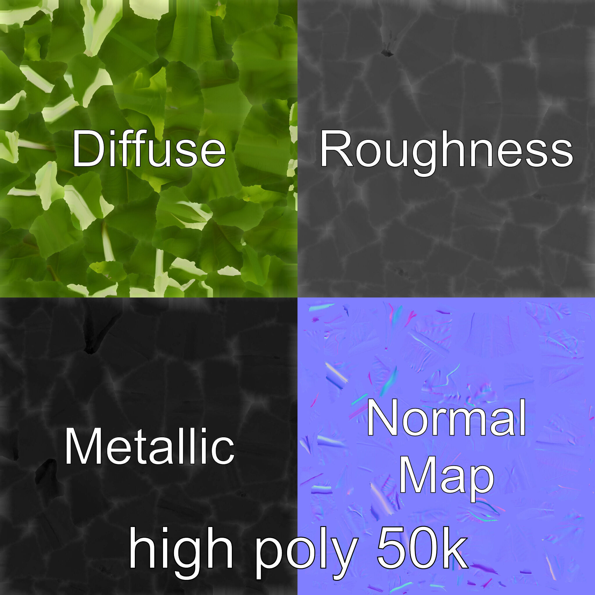 Spinach Leaf Natural Texture Model Pack Low-poly 3D model_1