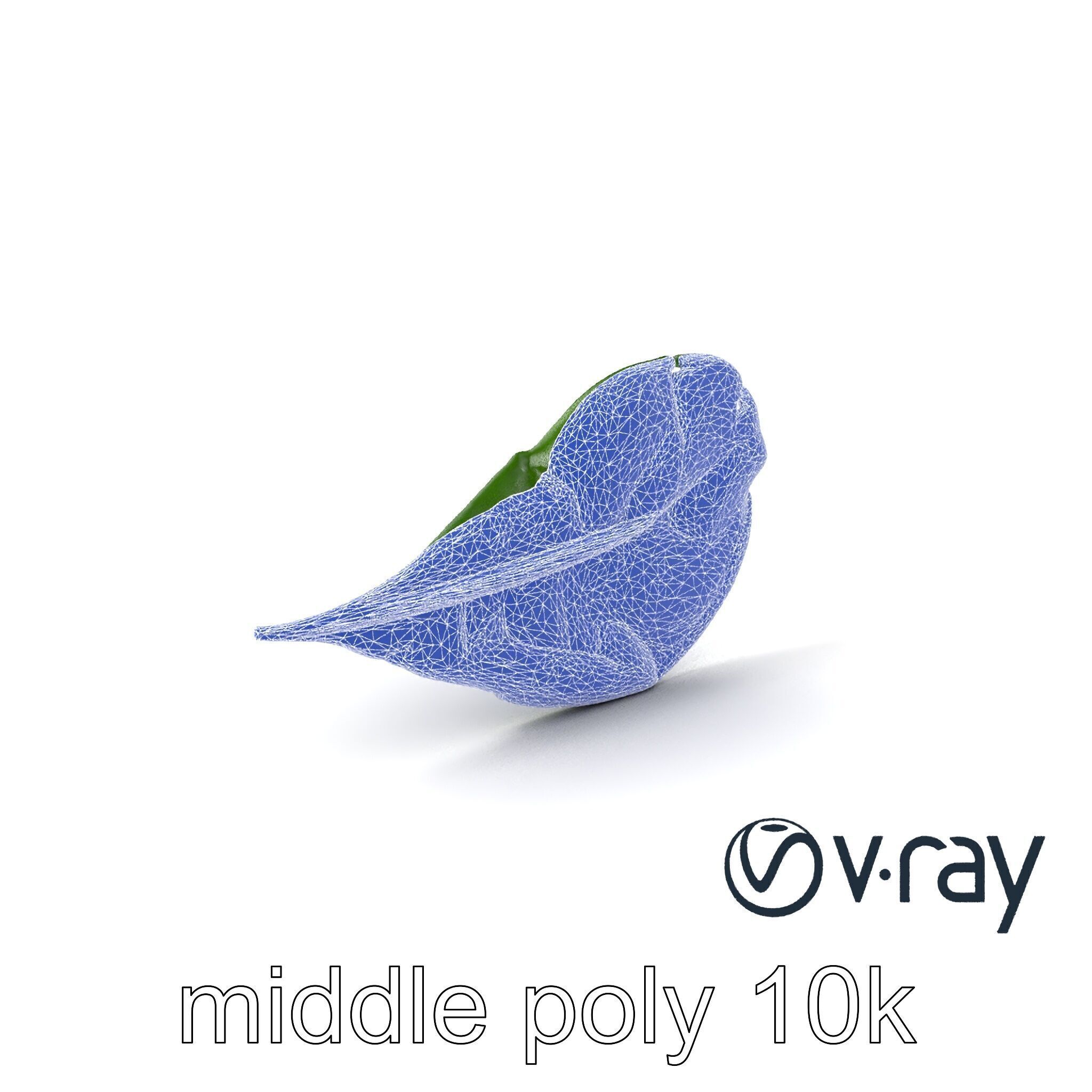 Spinach Leaf Natural Texture Model Pack Low-poly 3D model_23