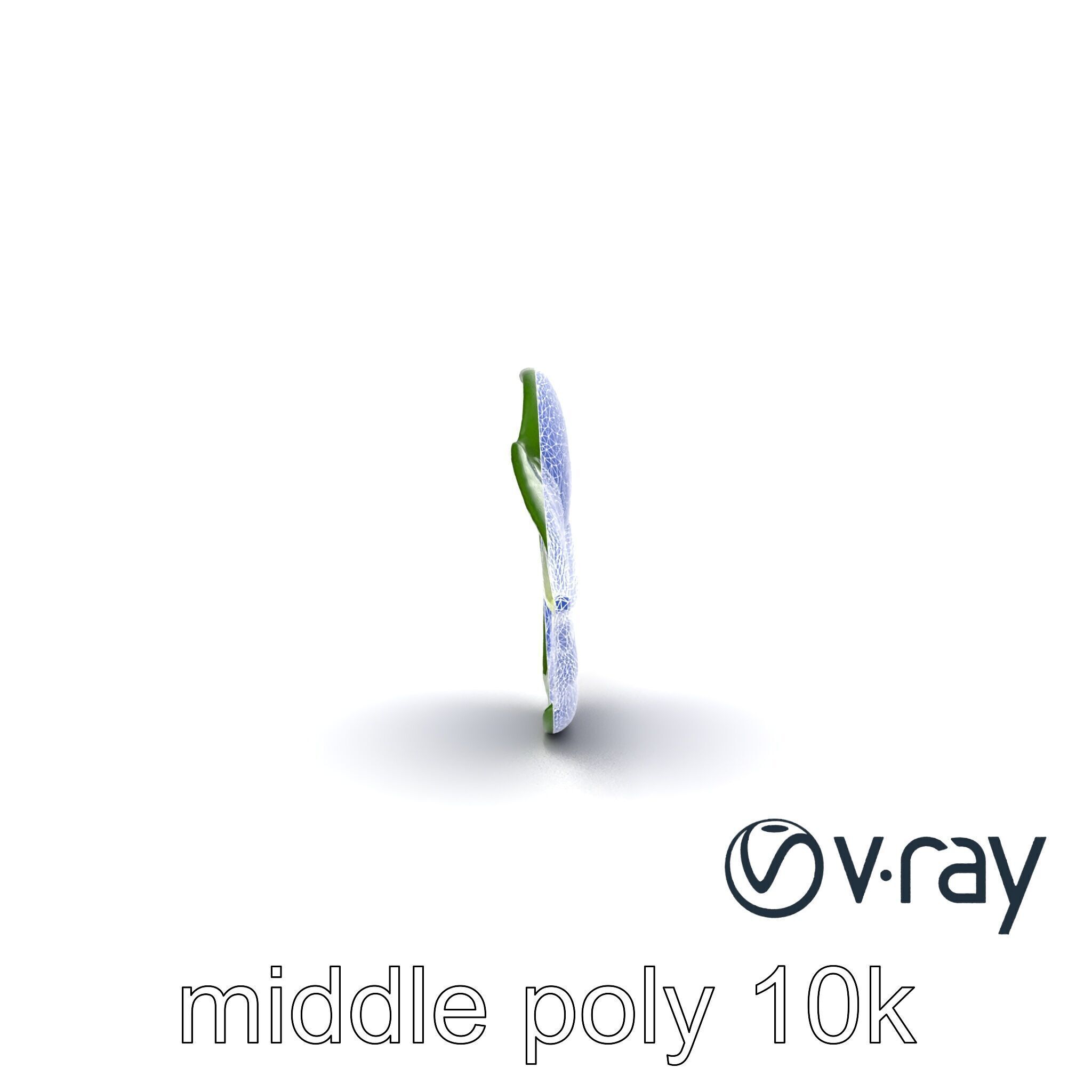 Spinach Leaf Natural Texture Model Pack Low-poly 3D model_31