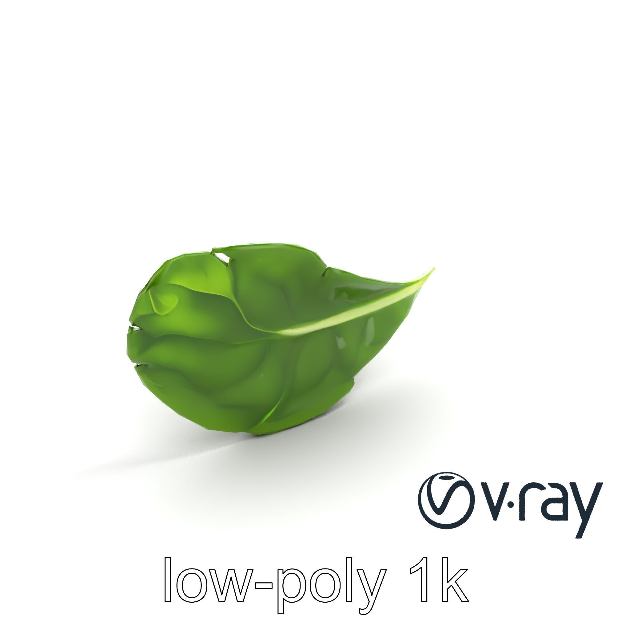 Spinach Leaf Natural Texture Model Pack Low-poly 3D model_5
