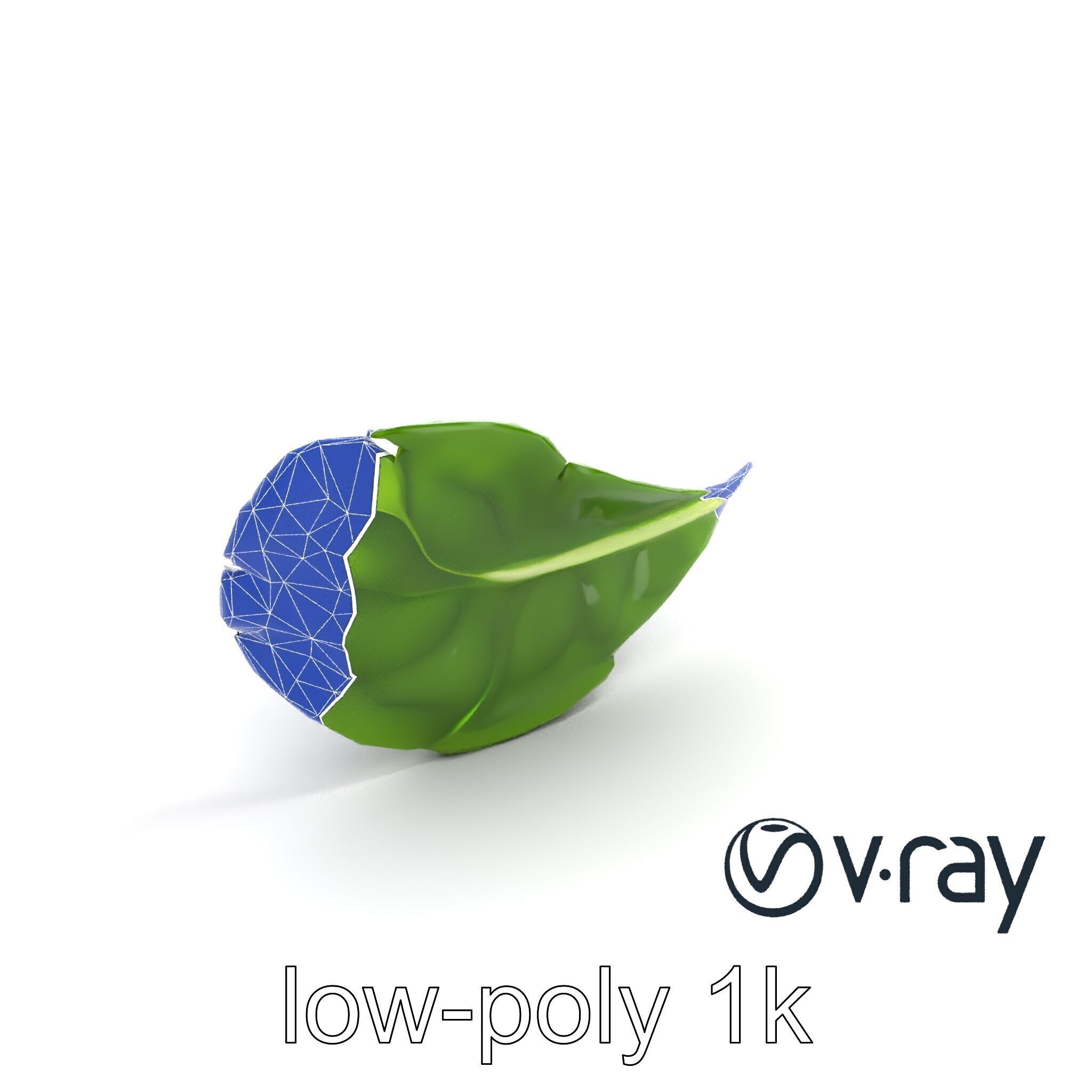 Spinach Leaf Natural Texture Model Pack Low-poly 3D model_22