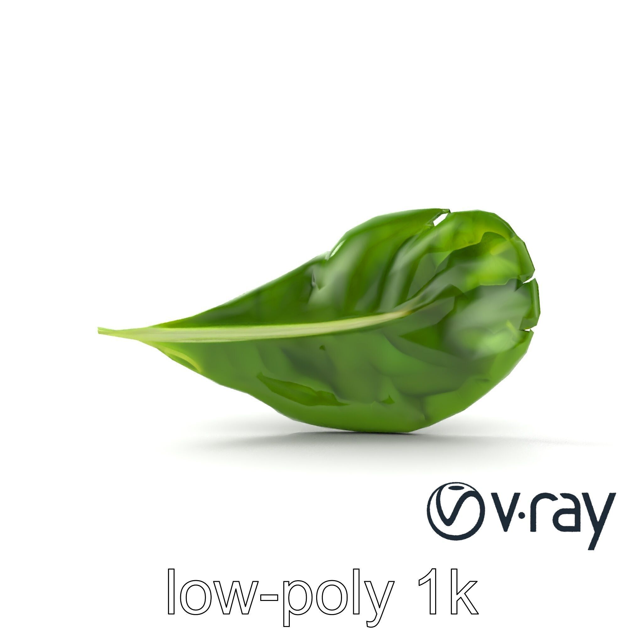 Spinach Leaf Natural Texture Model Pack Low-poly 3D model_17