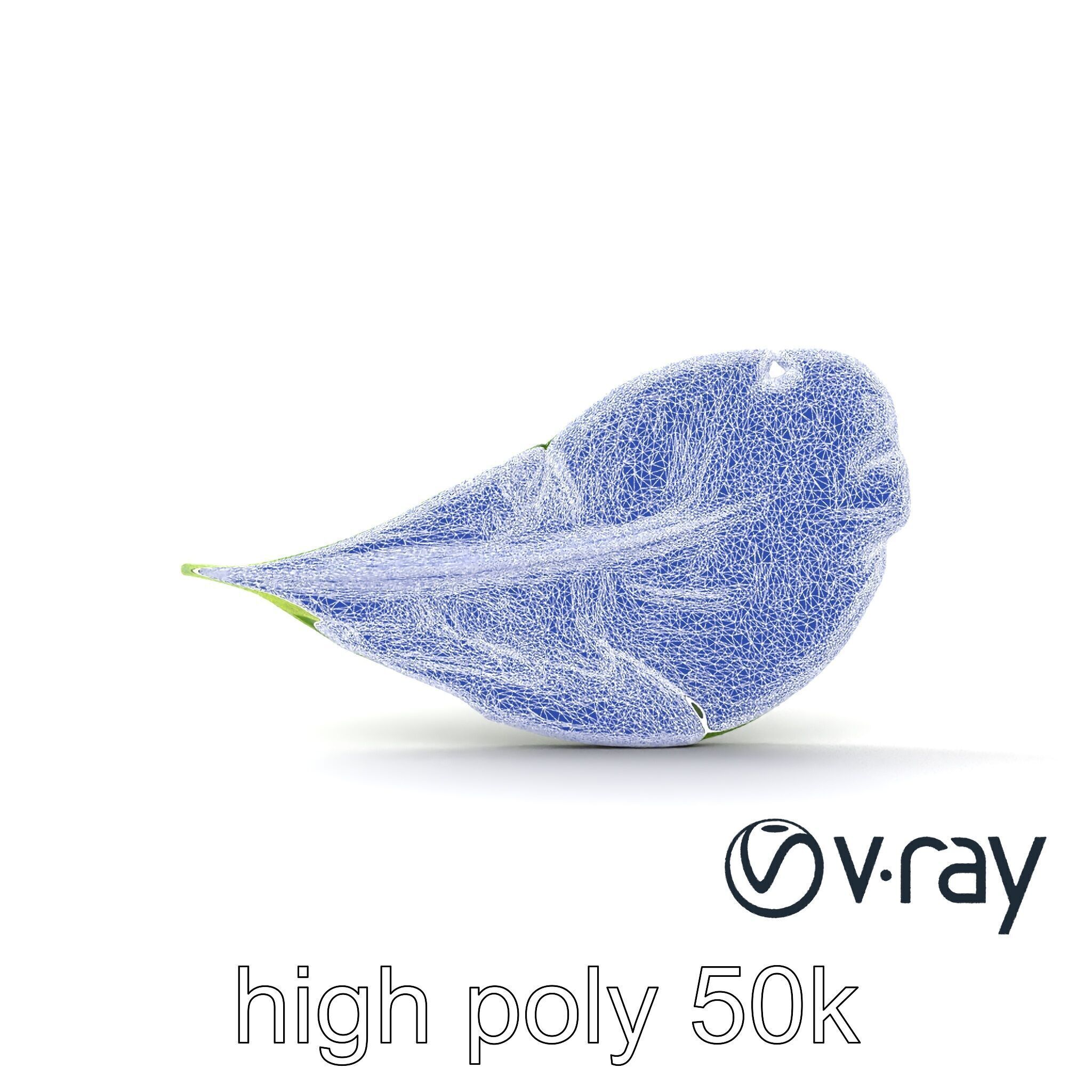 Spinach Leaf Natural Texture Model Pack Low-poly 3D model_29