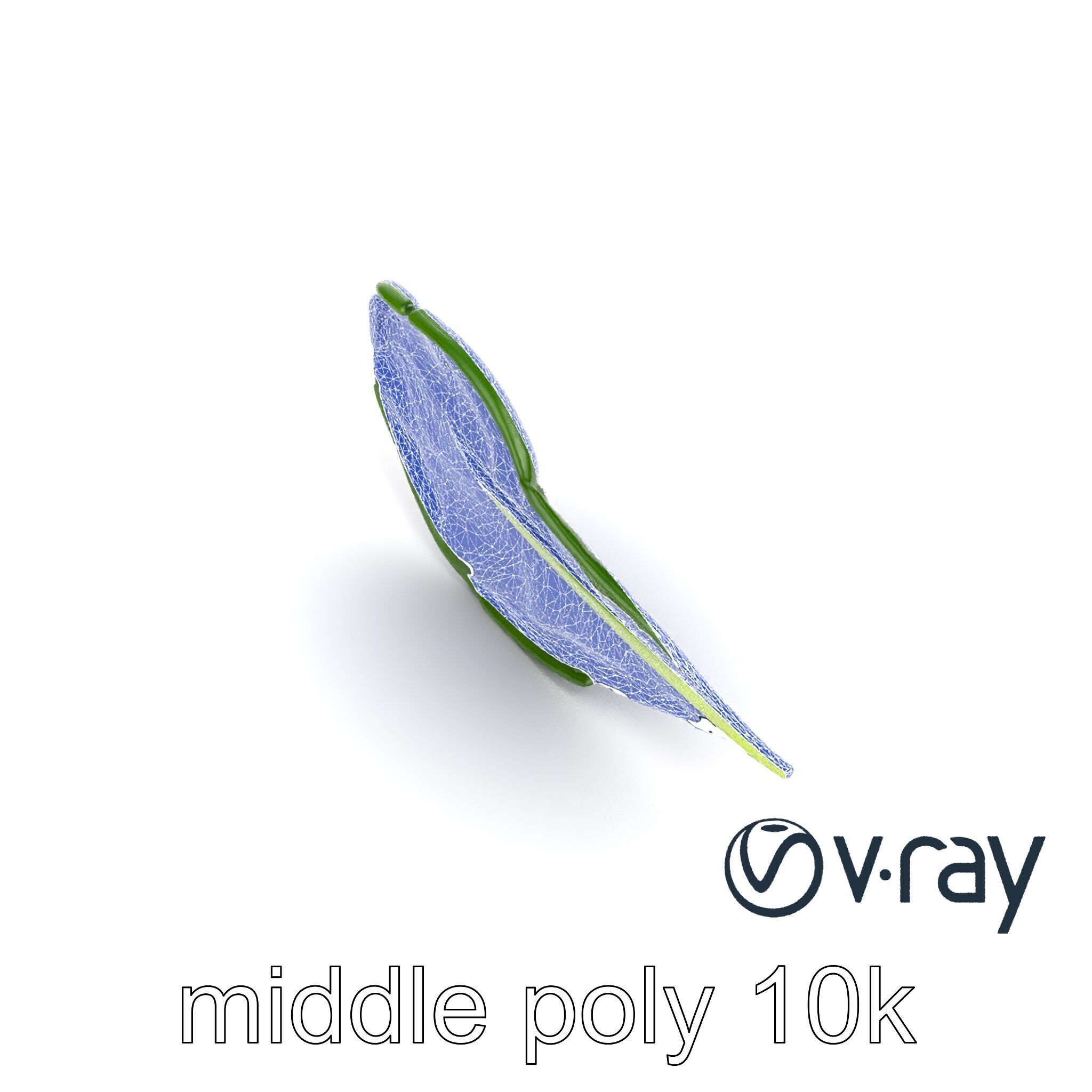 Spinach Leaf Natural Texture Model Pack Low-poly 3D model_18