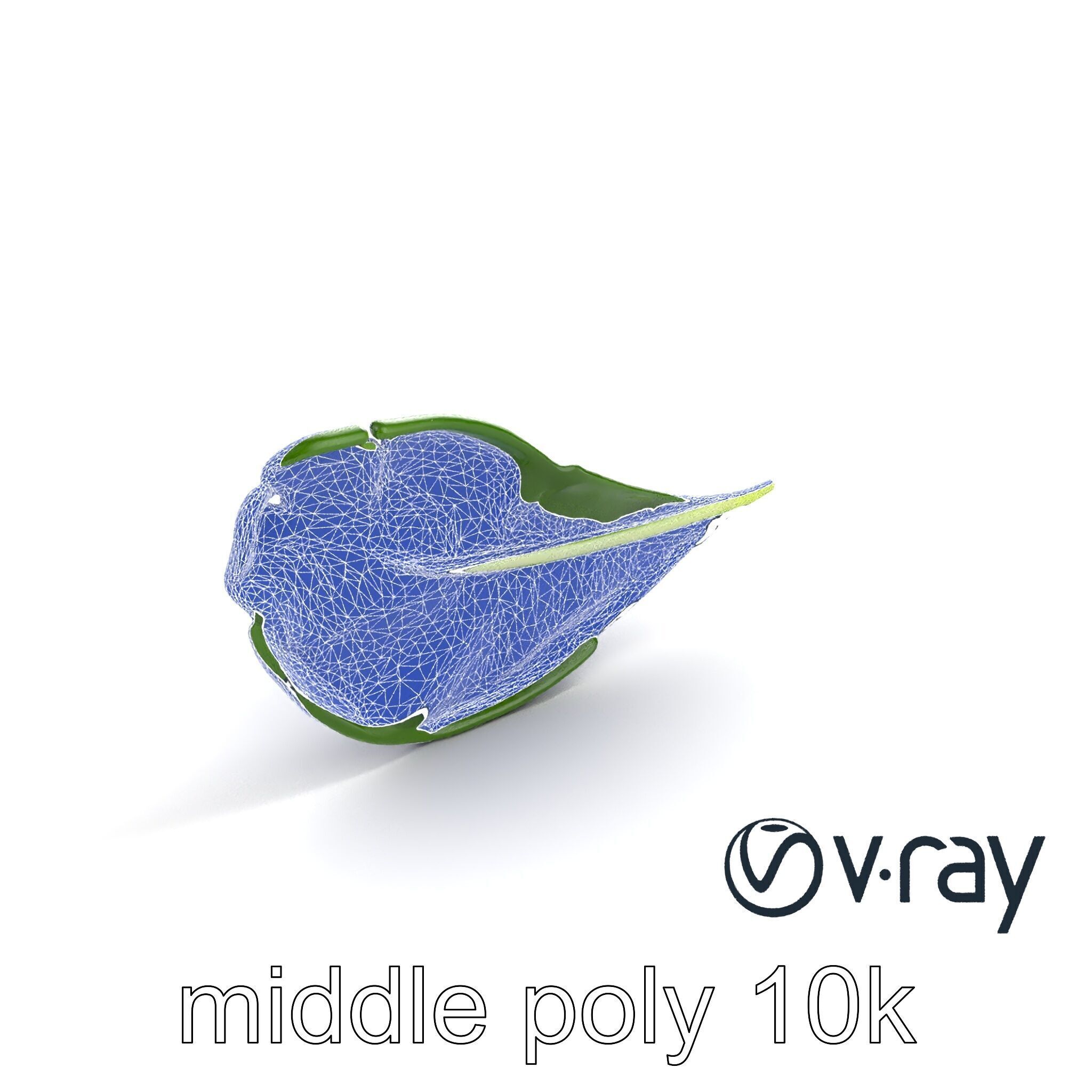 Spinach Leaf Natural Texture Model Pack Low-poly 3D model_19