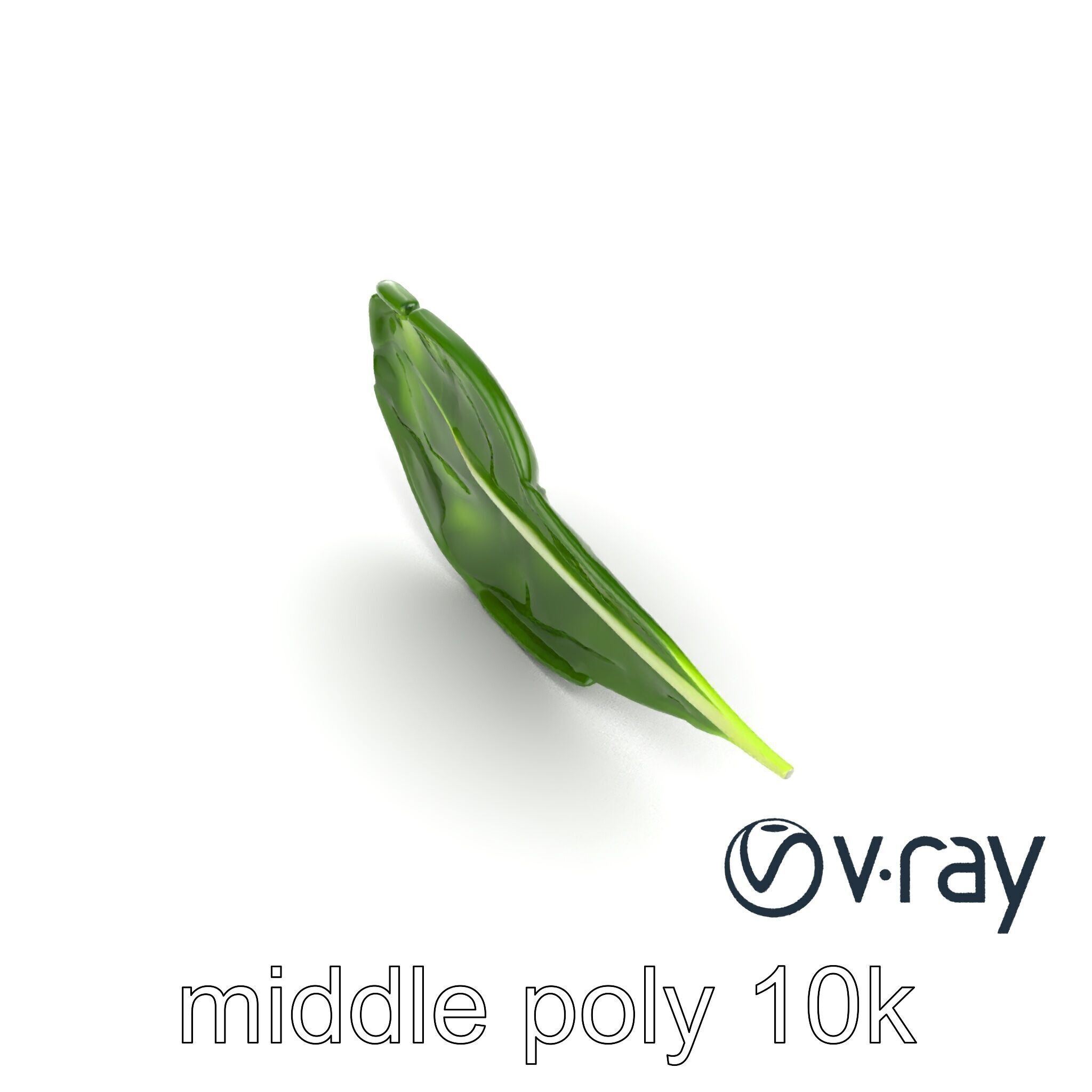 Spinach Leaf Natural Texture Model Pack Low-poly 3D model_7