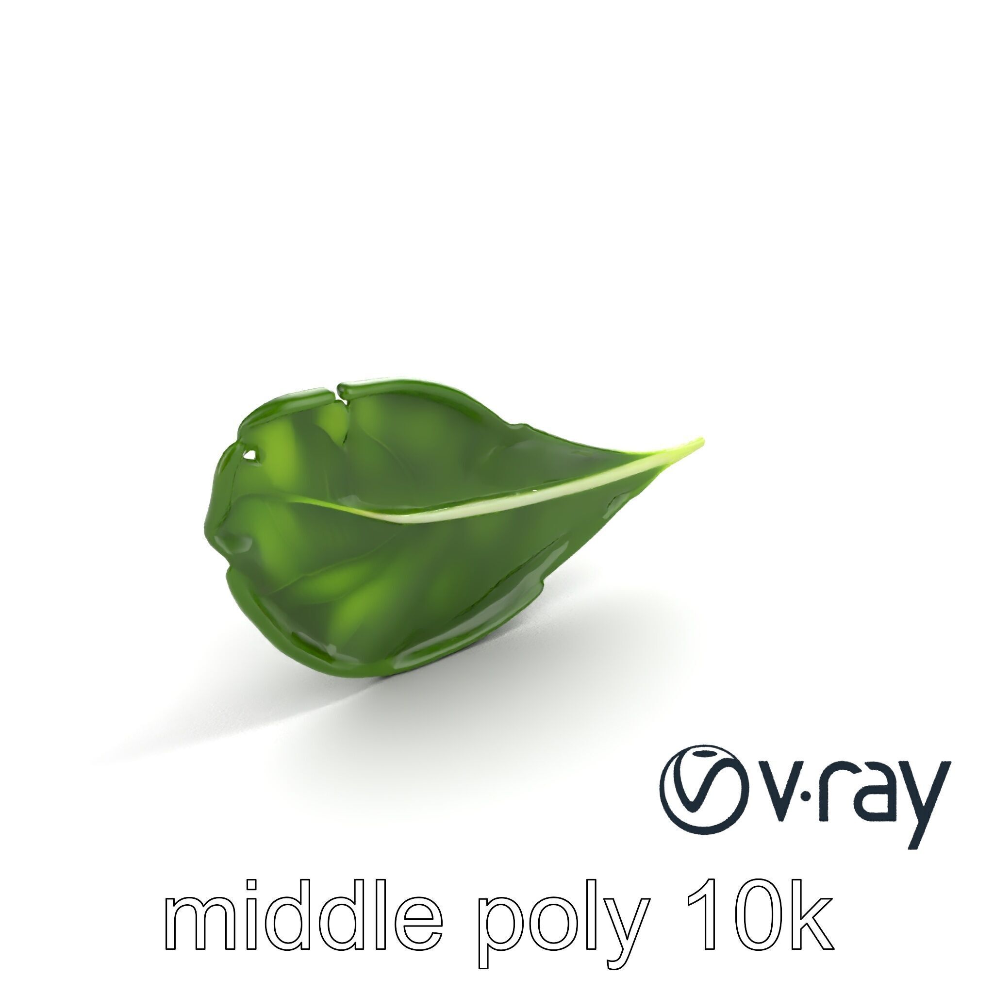 Spinach Leaf Natural Texture Model Pack Low-poly 3D model_4