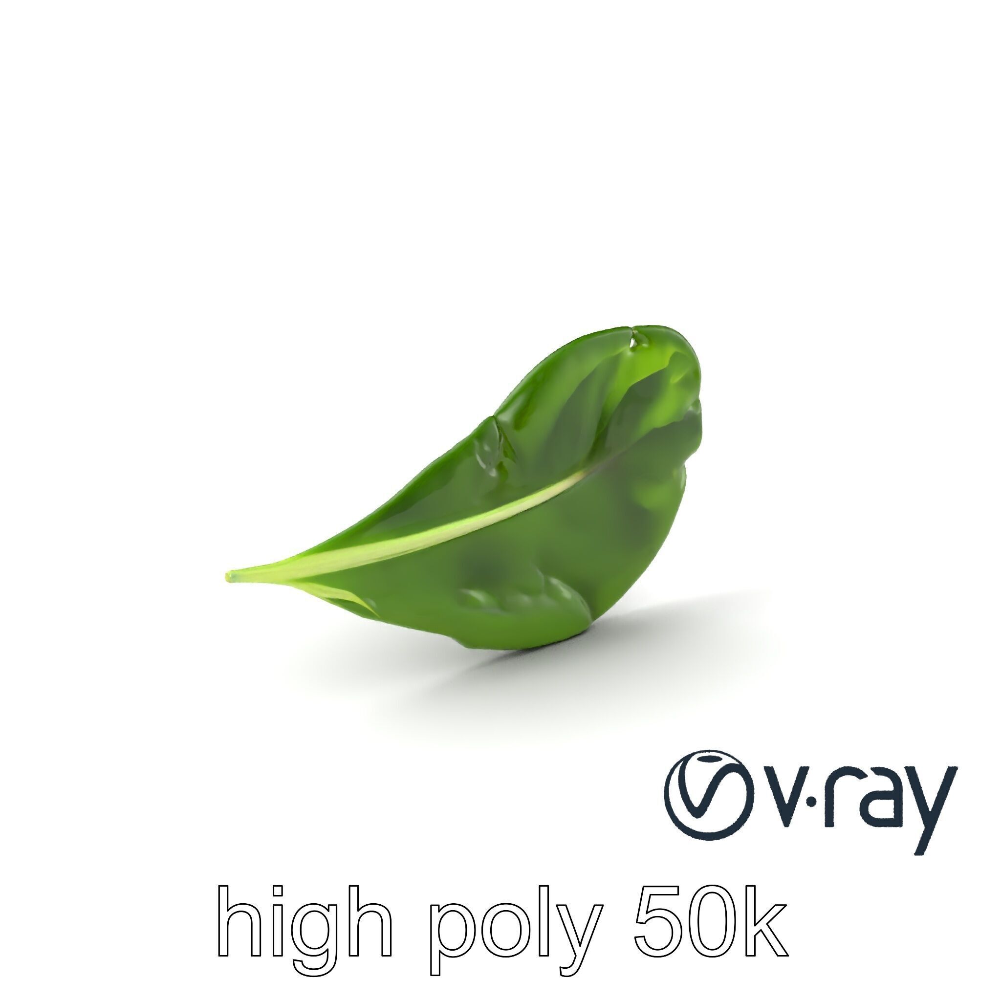 Spinach Leaf Natural Texture Model Pack Low-poly 3D model_6