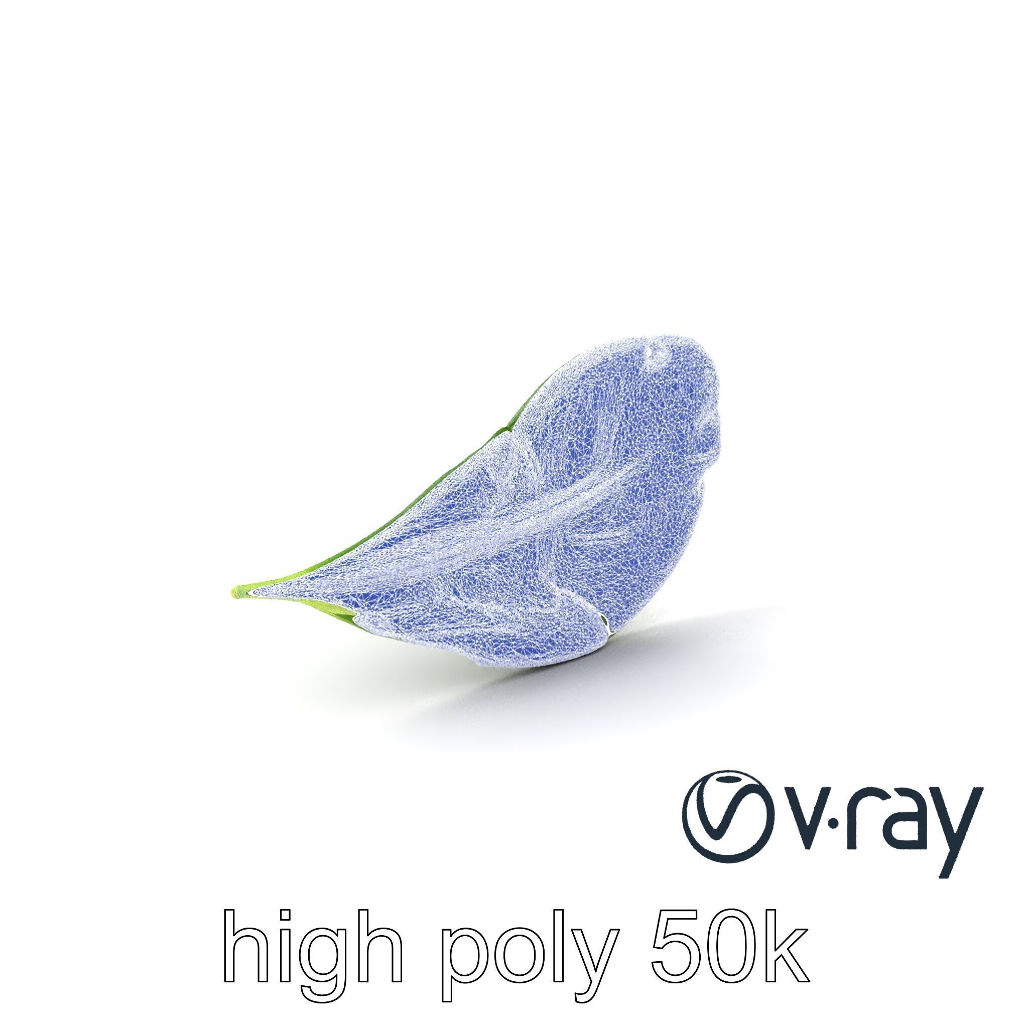 Spinach Leaf Natural Texture Model Pack Low-poly 3D model_27