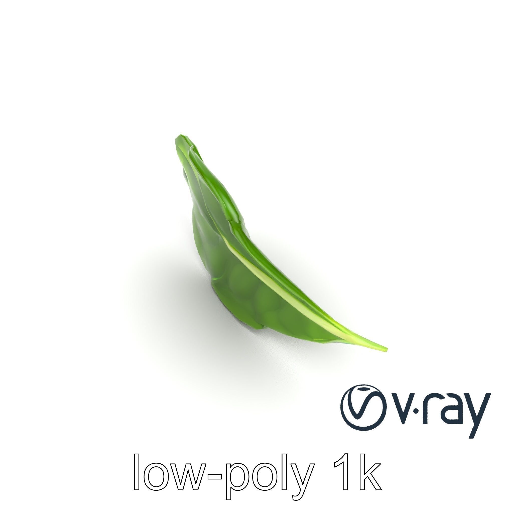 Spinach Leaf Natural Texture Model Pack Low-poly 3D model_8