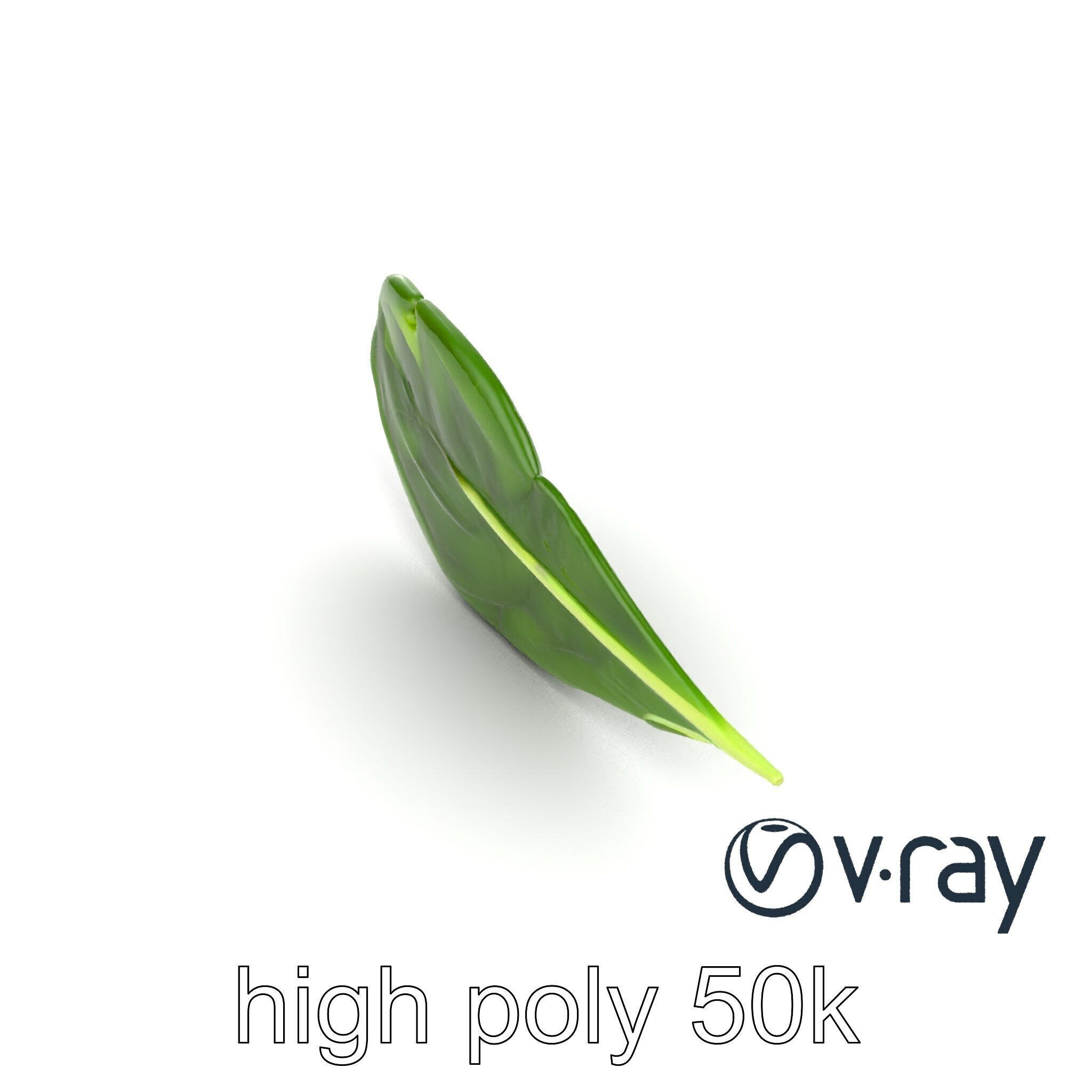 Spinach Leaf Natural Texture Model Pack Low-poly 3D model_11
