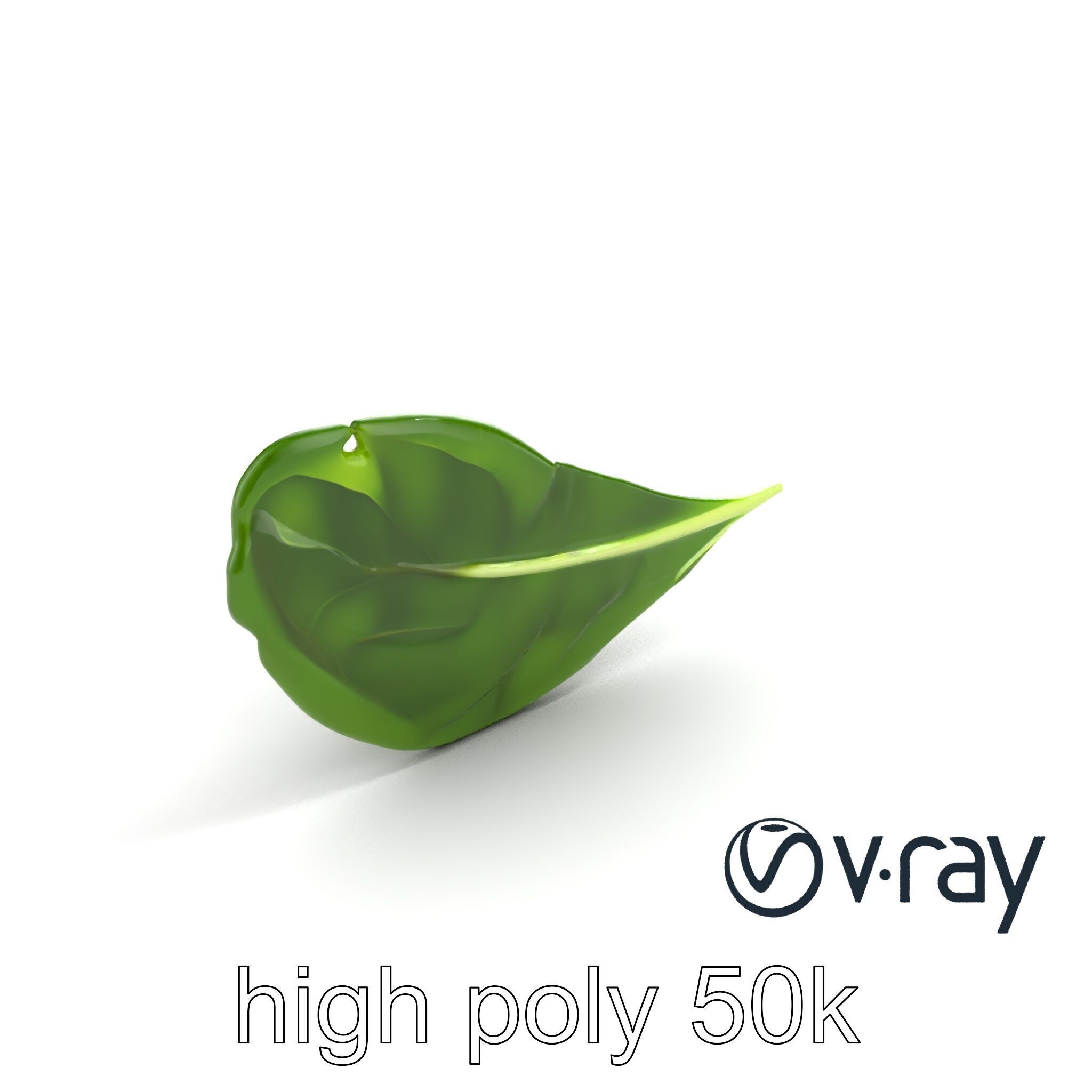 Spinach Leaf Natural Texture Model Pack Low-poly 3D model_9