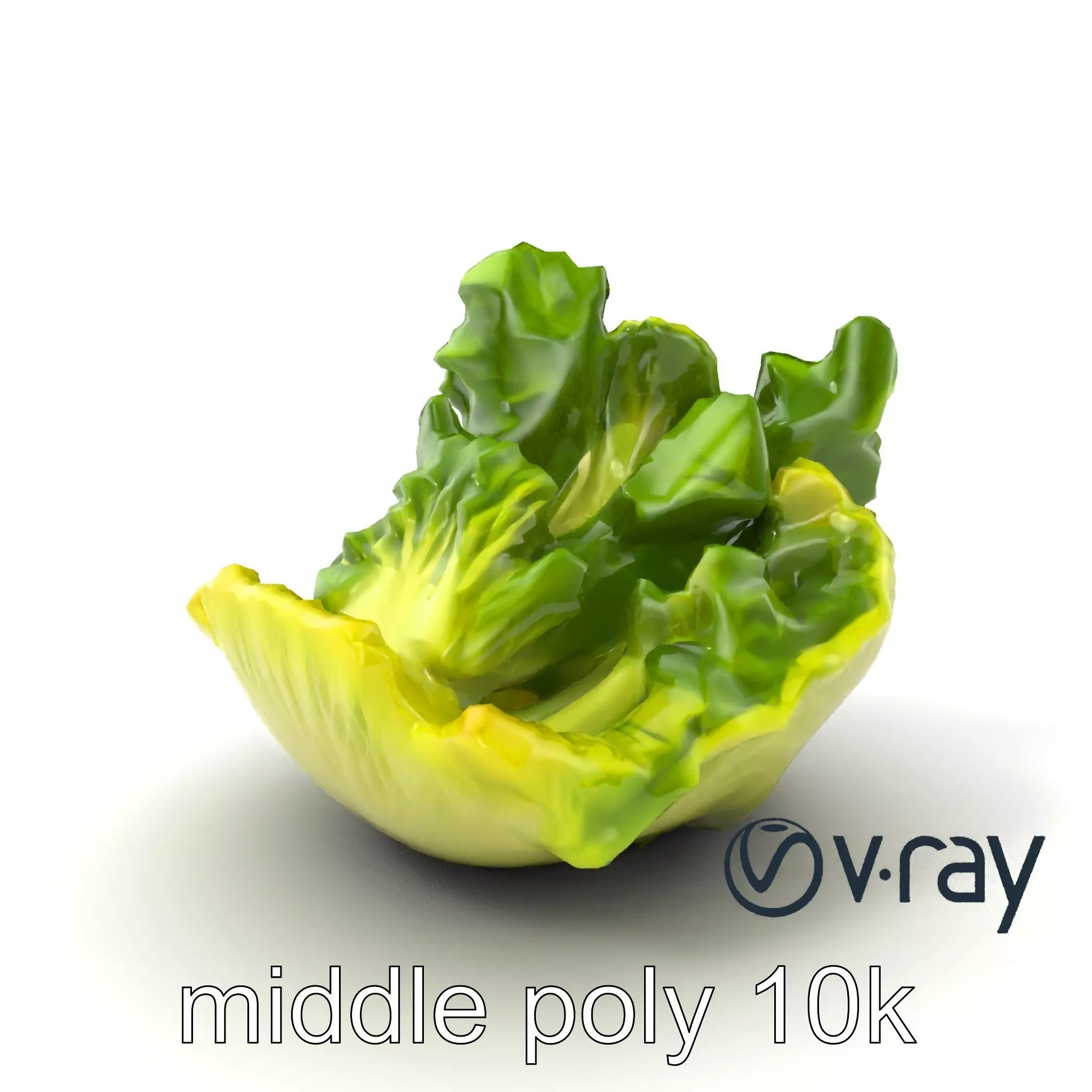 Fresh Green Lettuce Leaf Detail model pack Low-poly 3D model