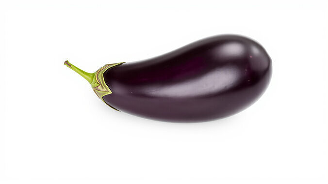 Luxurious Glossy Eggplant Model Pack Low-poly 3D model 4