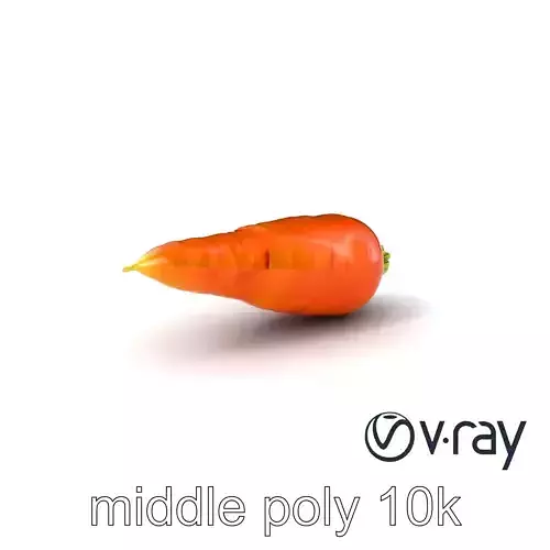 Realistic Carrot Freshness Model Pack