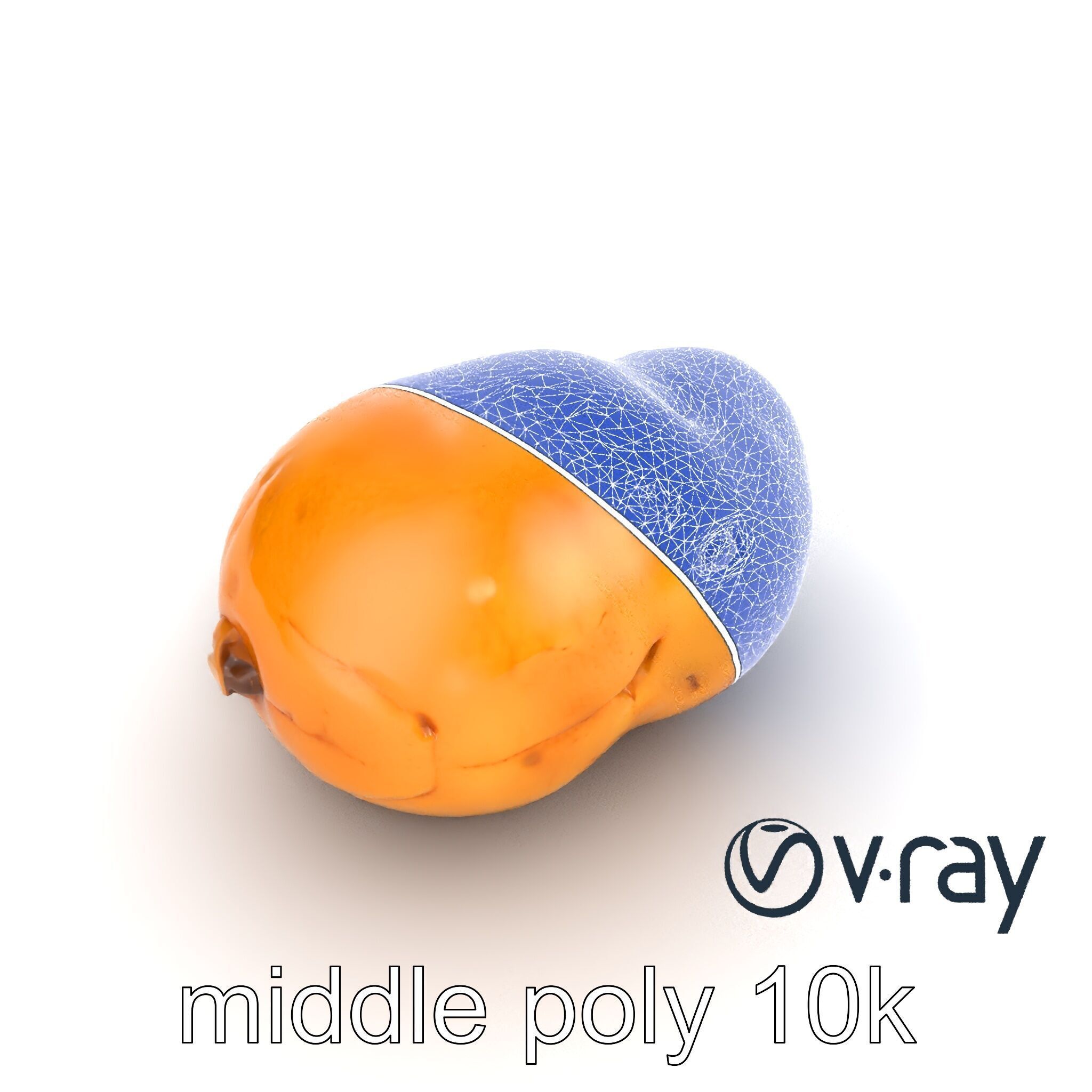 Realistic Potato Model Pack Low-poly 3D model_14
