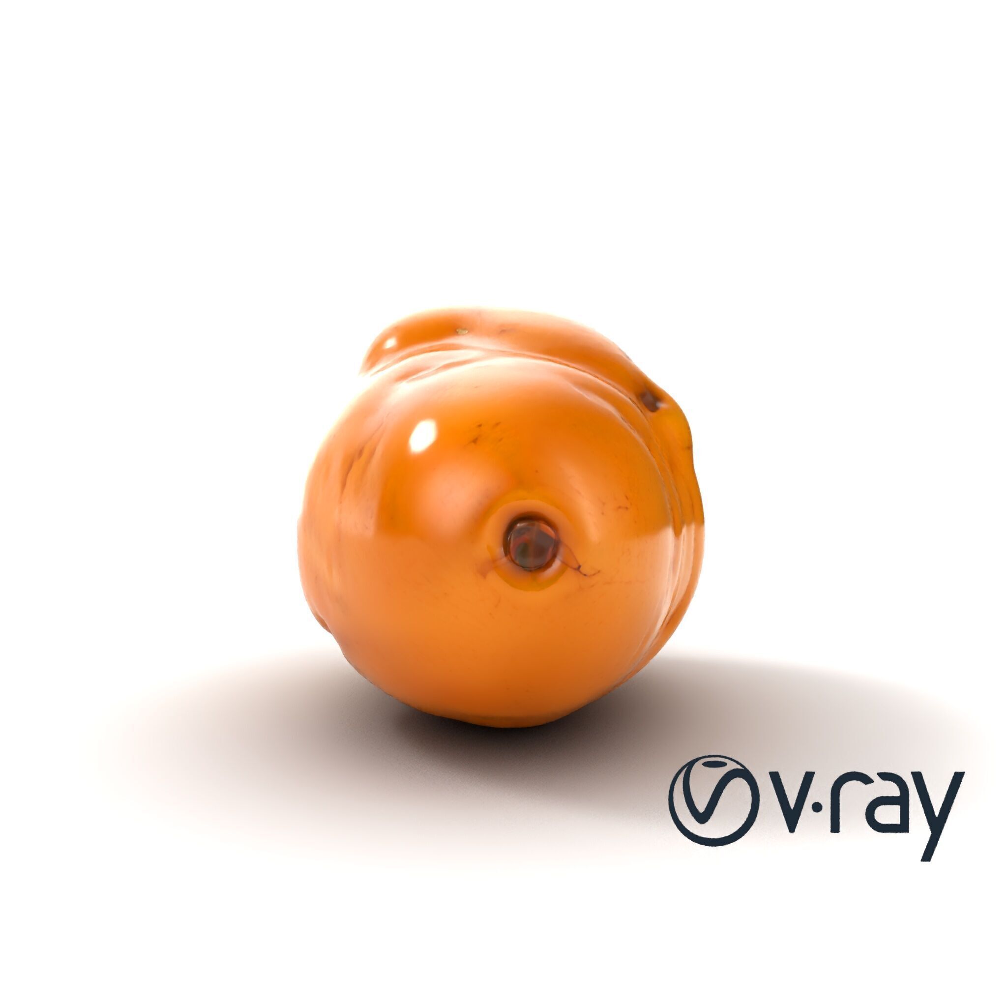 Realistic Potato Model Pack Low-poly 3D model_12