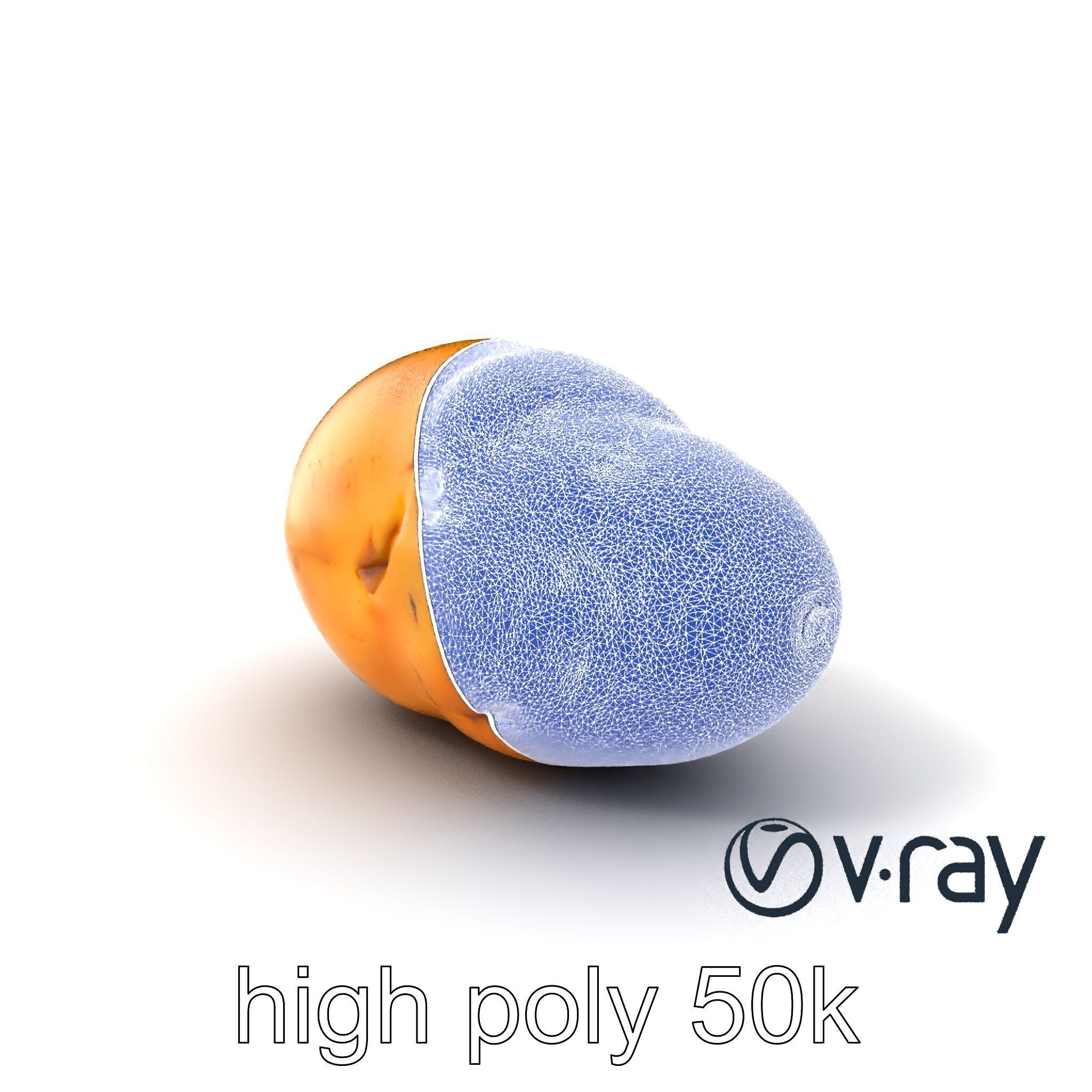 Realistic Potato Model Pack Low-poly 3D model_28