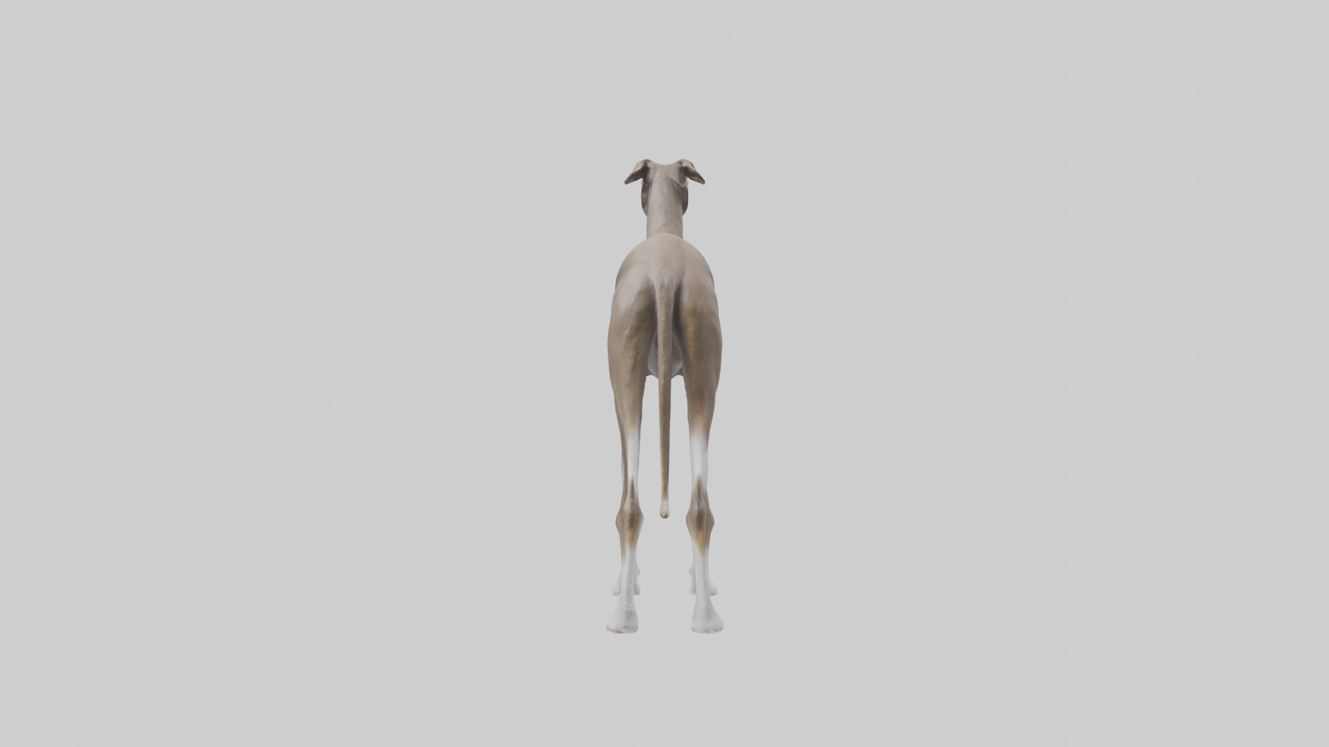 Italian Greyhound statue model Low-poly 3D model_2