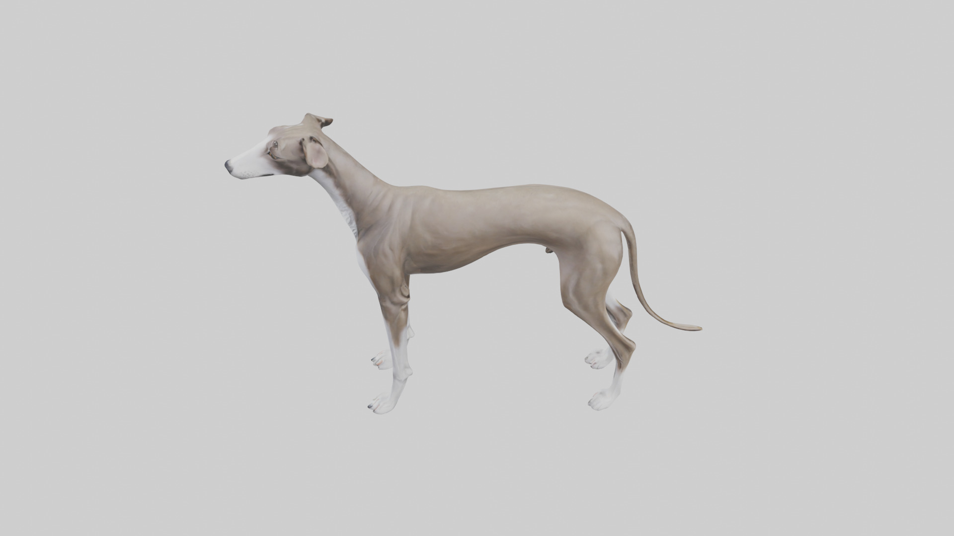 Italian Greyhound statue model Low-poly 3D model_17
