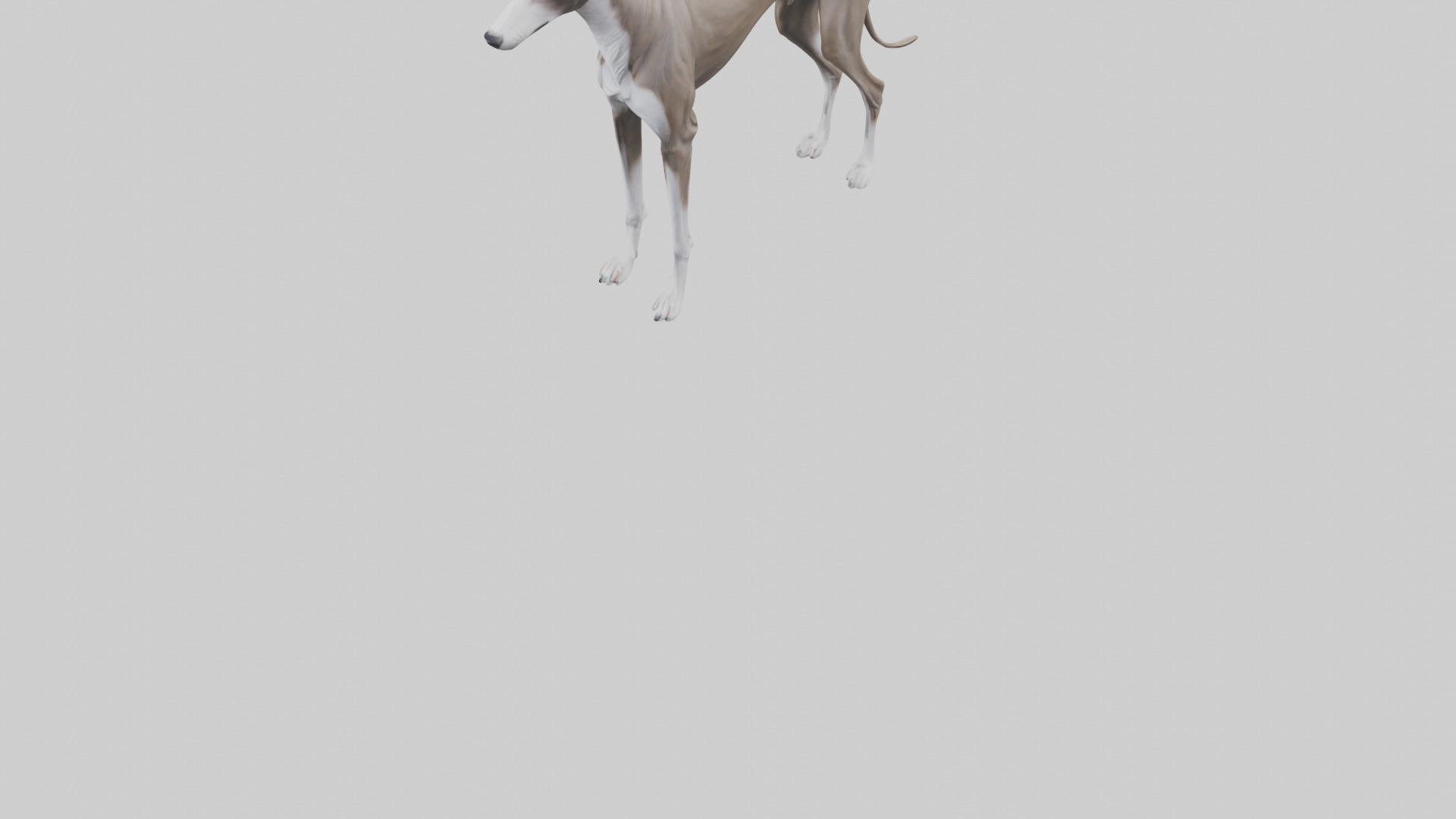Italian Greyhound statue model Low-poly 3D model_7