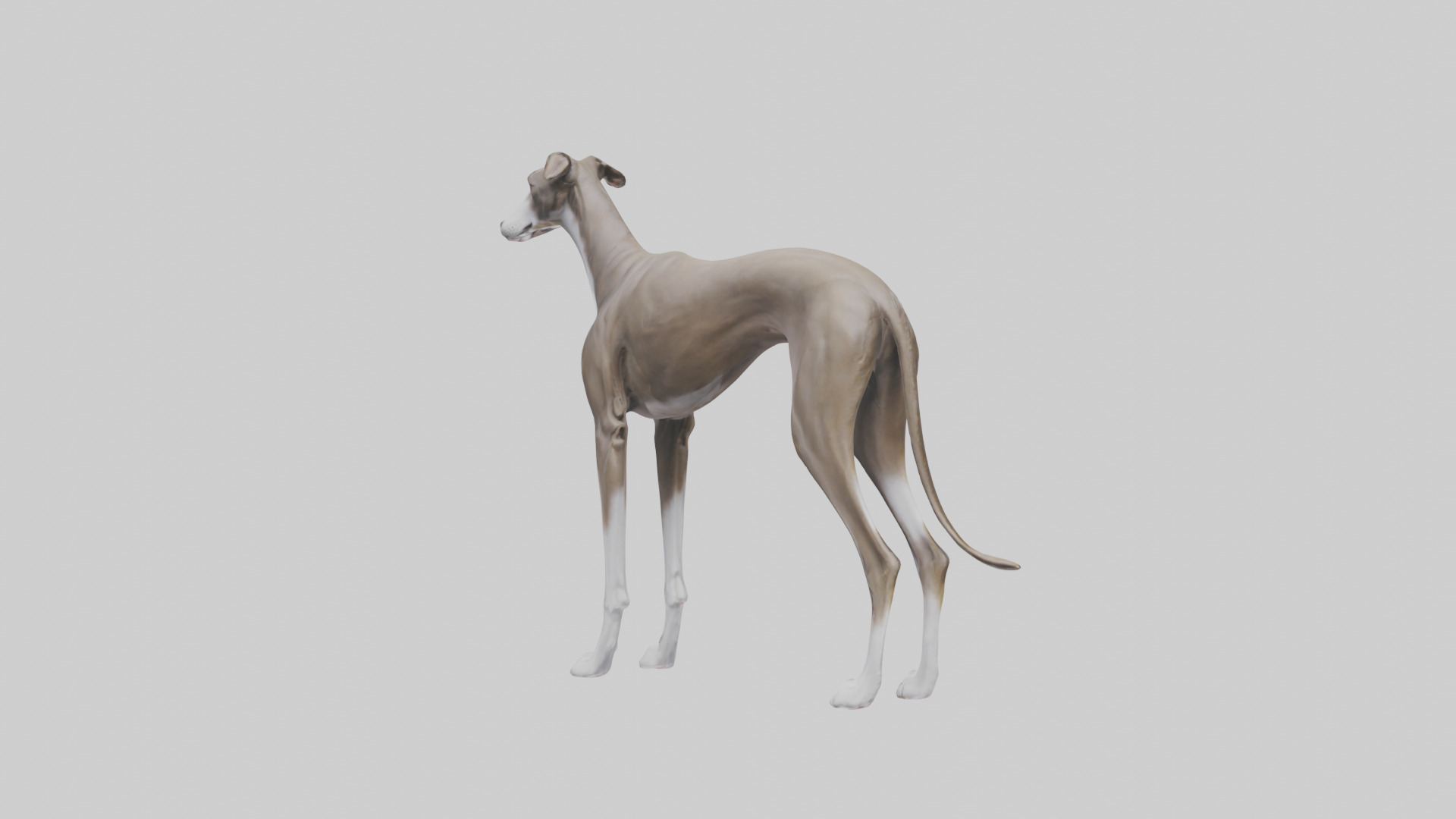 Italian Greyhound statue model Low-poly 3D model_3