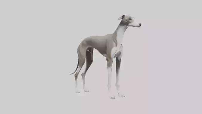 Italian Greyhound statue model Low-poly 3D model