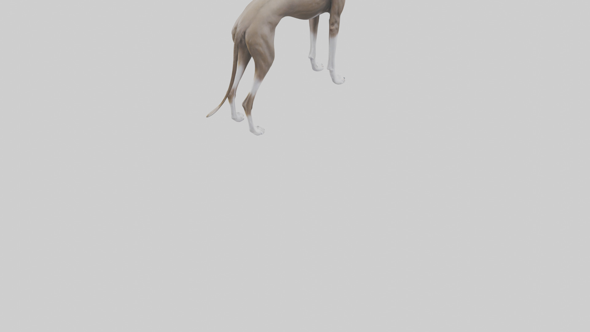 Italian Greyhound statue model Low-poly 3D model_6