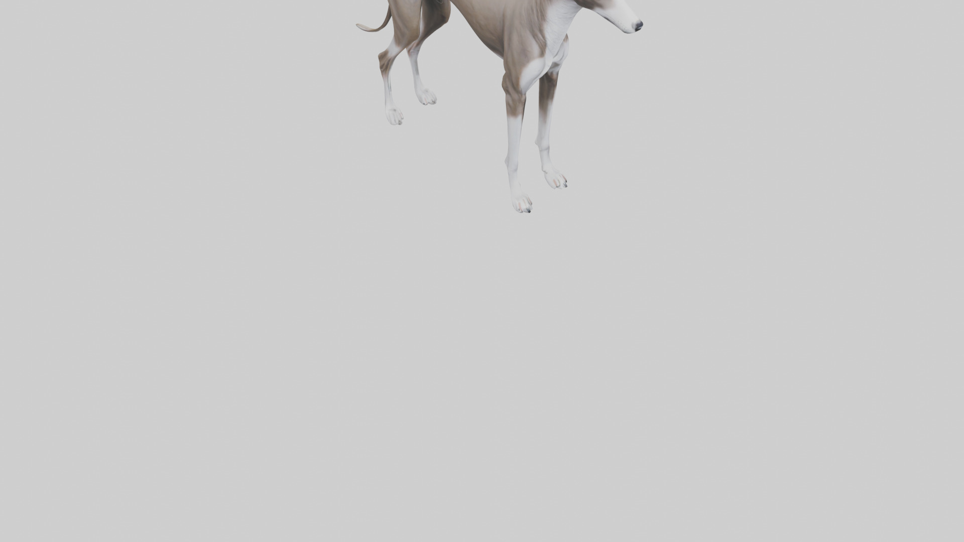 Italian Greyhound statue model Low-poly 3D model_8