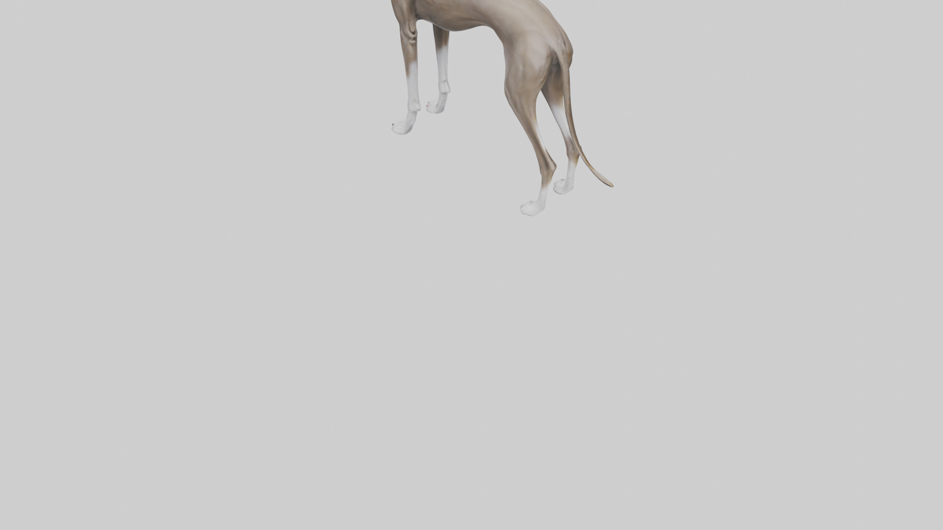 Italian Greyhound statue model Low-poly 3D model_5