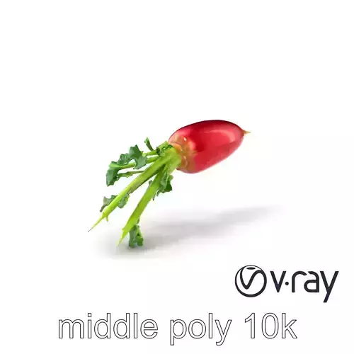 Realistic Red Radish Vegetation model pack Low-poly 3D model