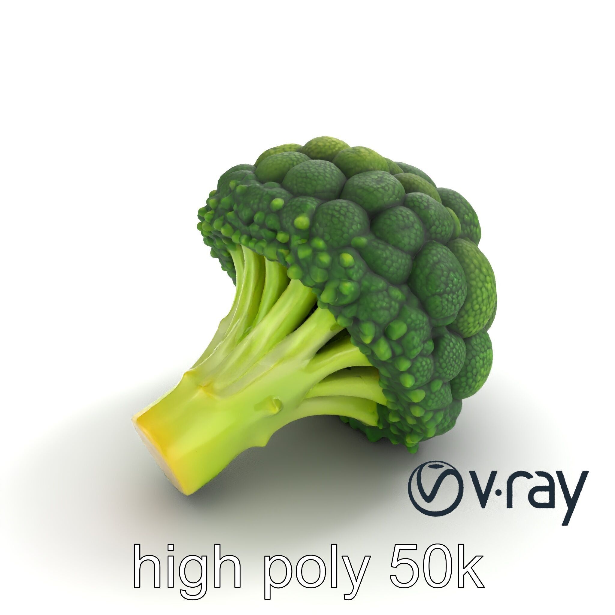 Detailed Green Broccoli Model Pack Low-poly 3D model_13