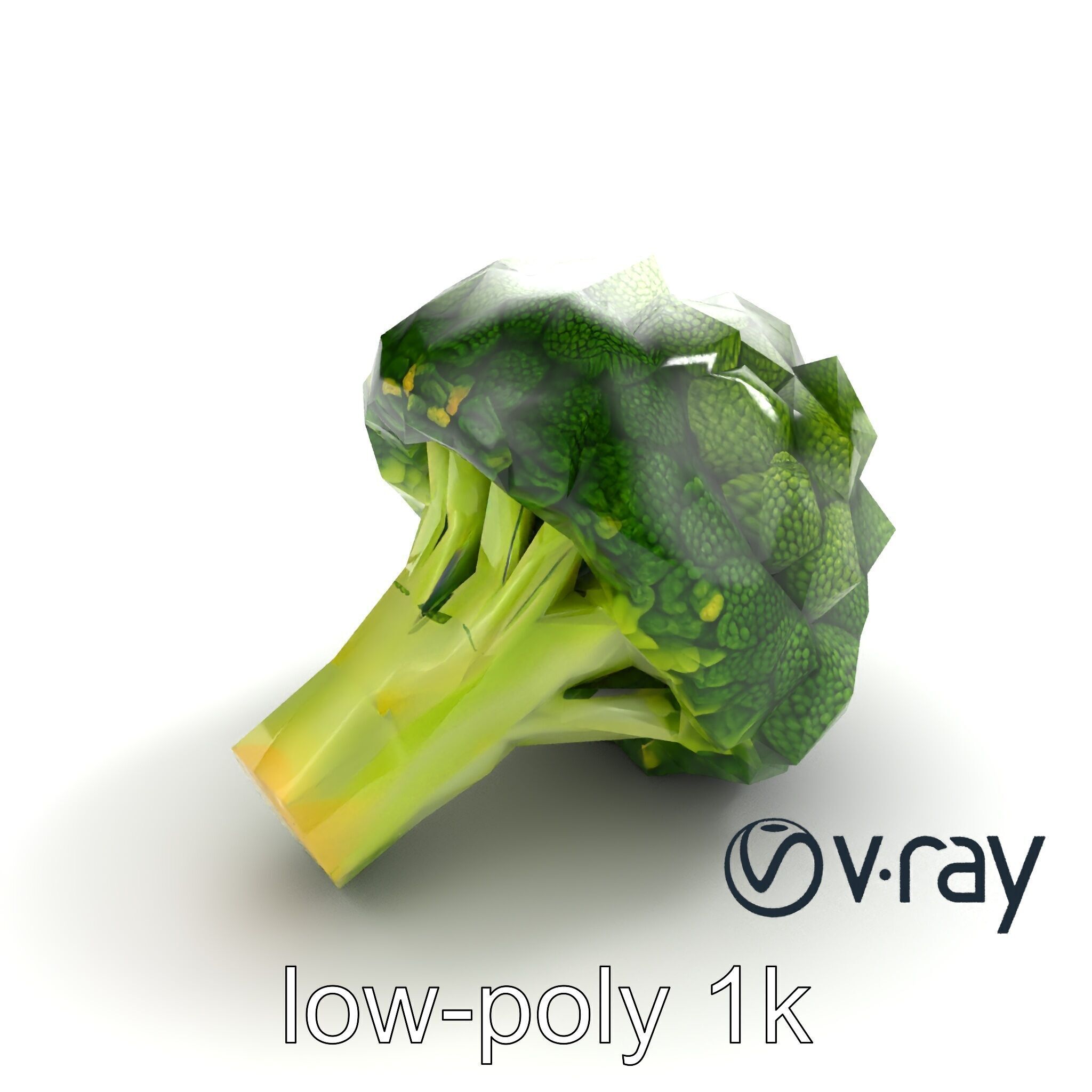Detailed Green Broccoli Model Pack Low-poly 3D model_5