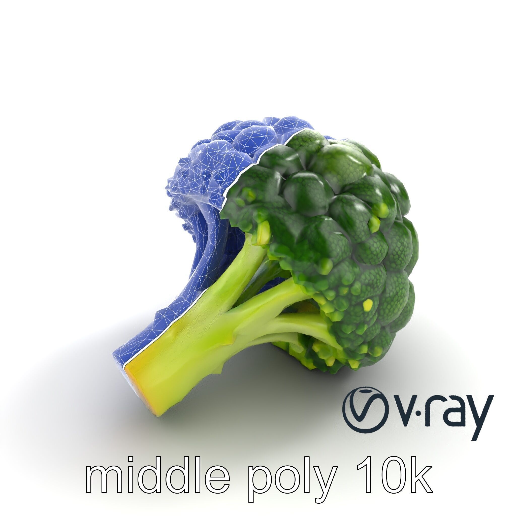Detailed Green Broccoli Model Pack Low-poly 3D model_14