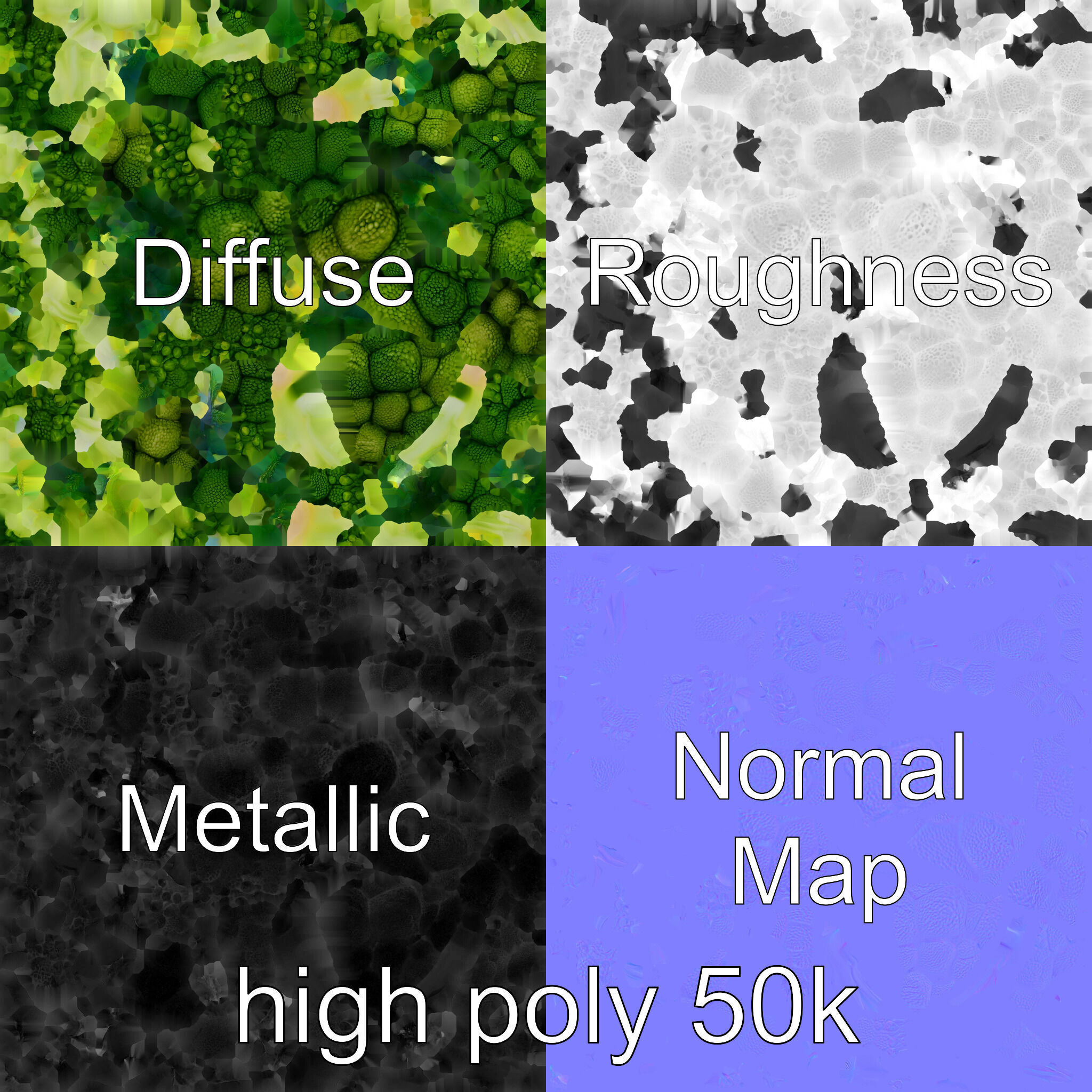 Detailed Green Broccoli Model Pack Low-poly 3D model_1