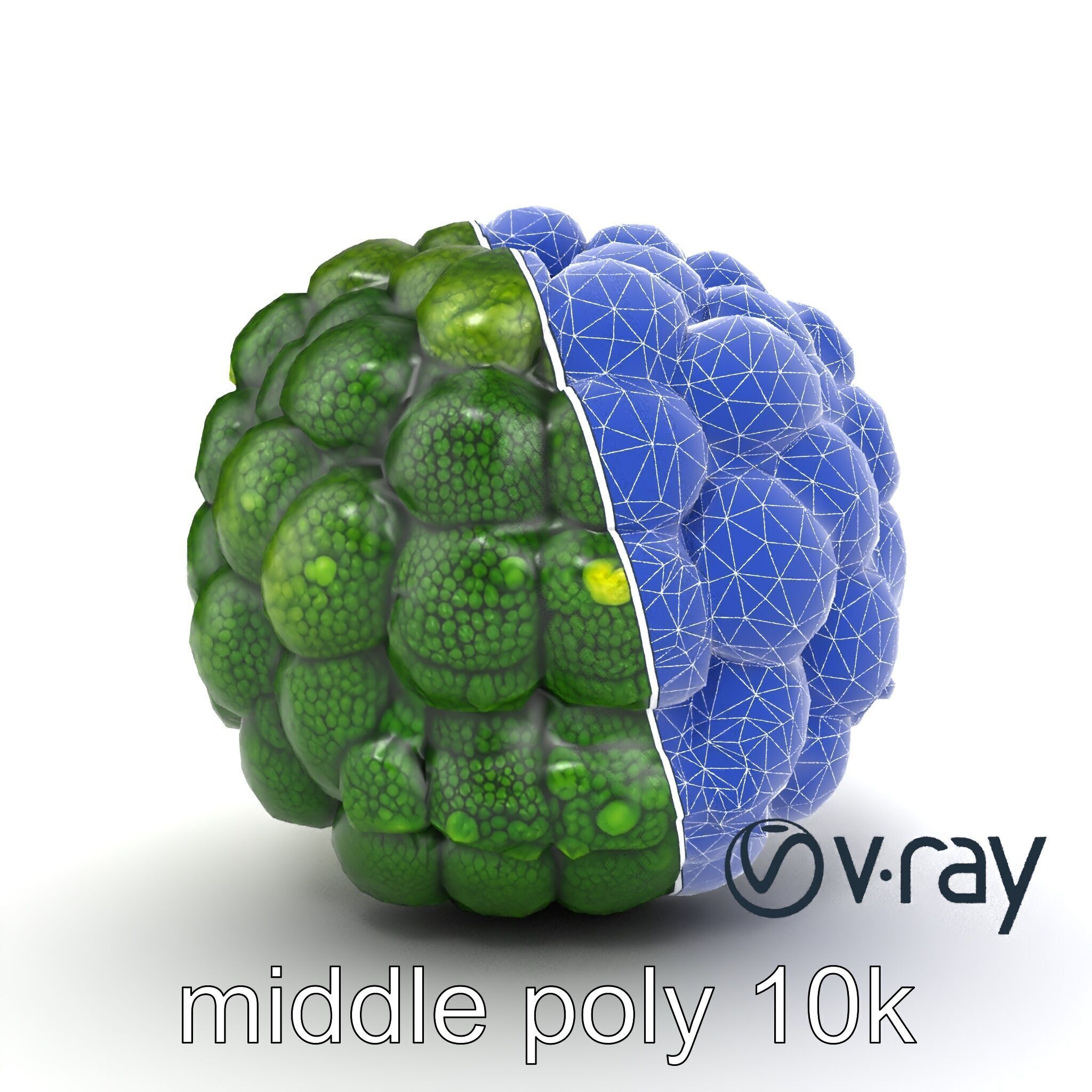 Detailed Green Broccoli Model Pack Low-poly 3D model_24