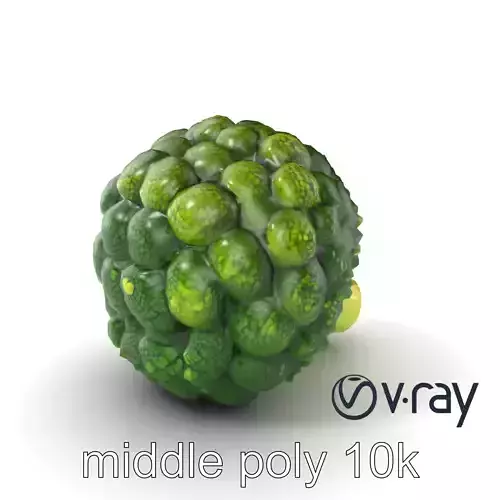 Detailed Green Broccoli Model Pack Low-poly 3D model