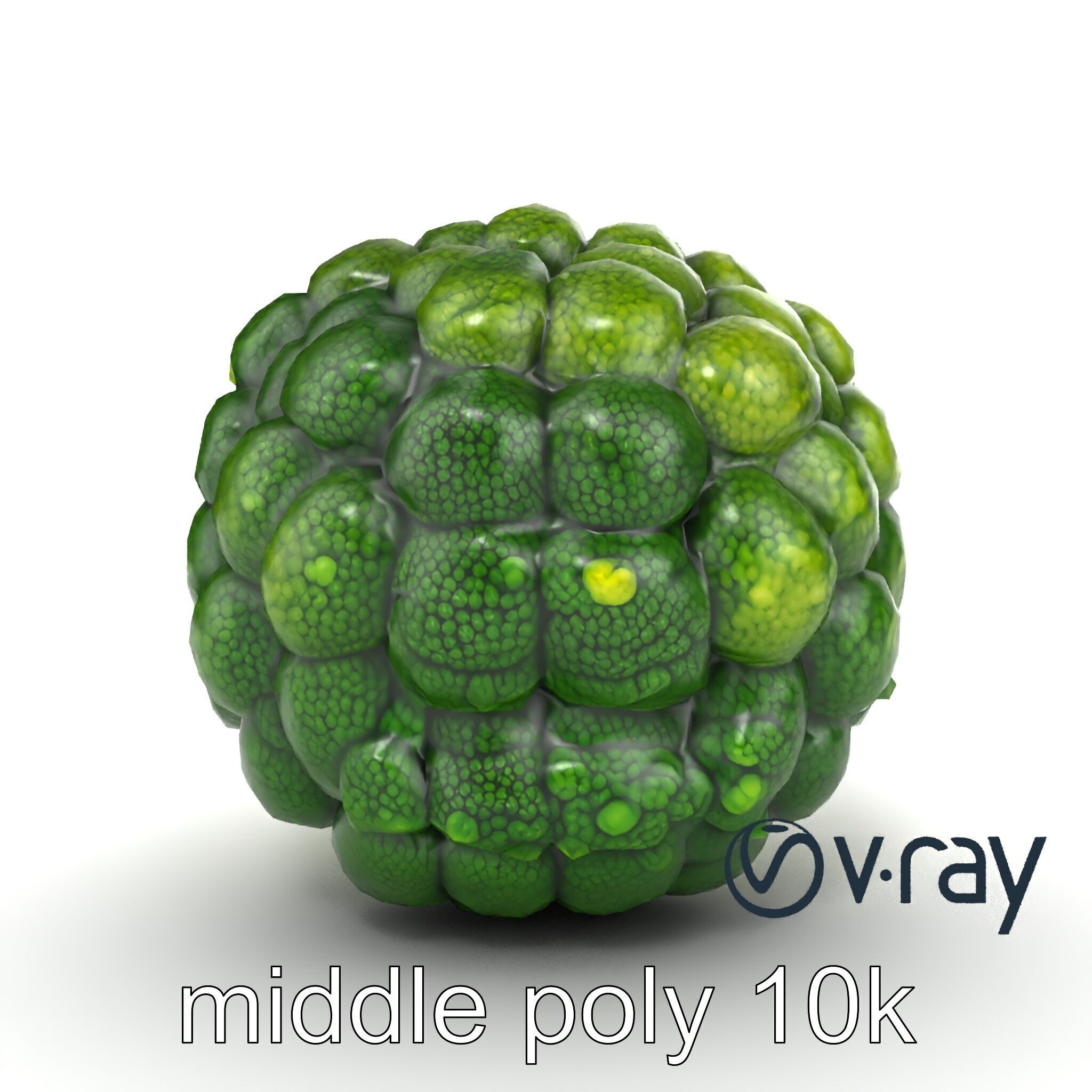 Detailed Green Broccoli Model Pack Low-poly 3D model_25