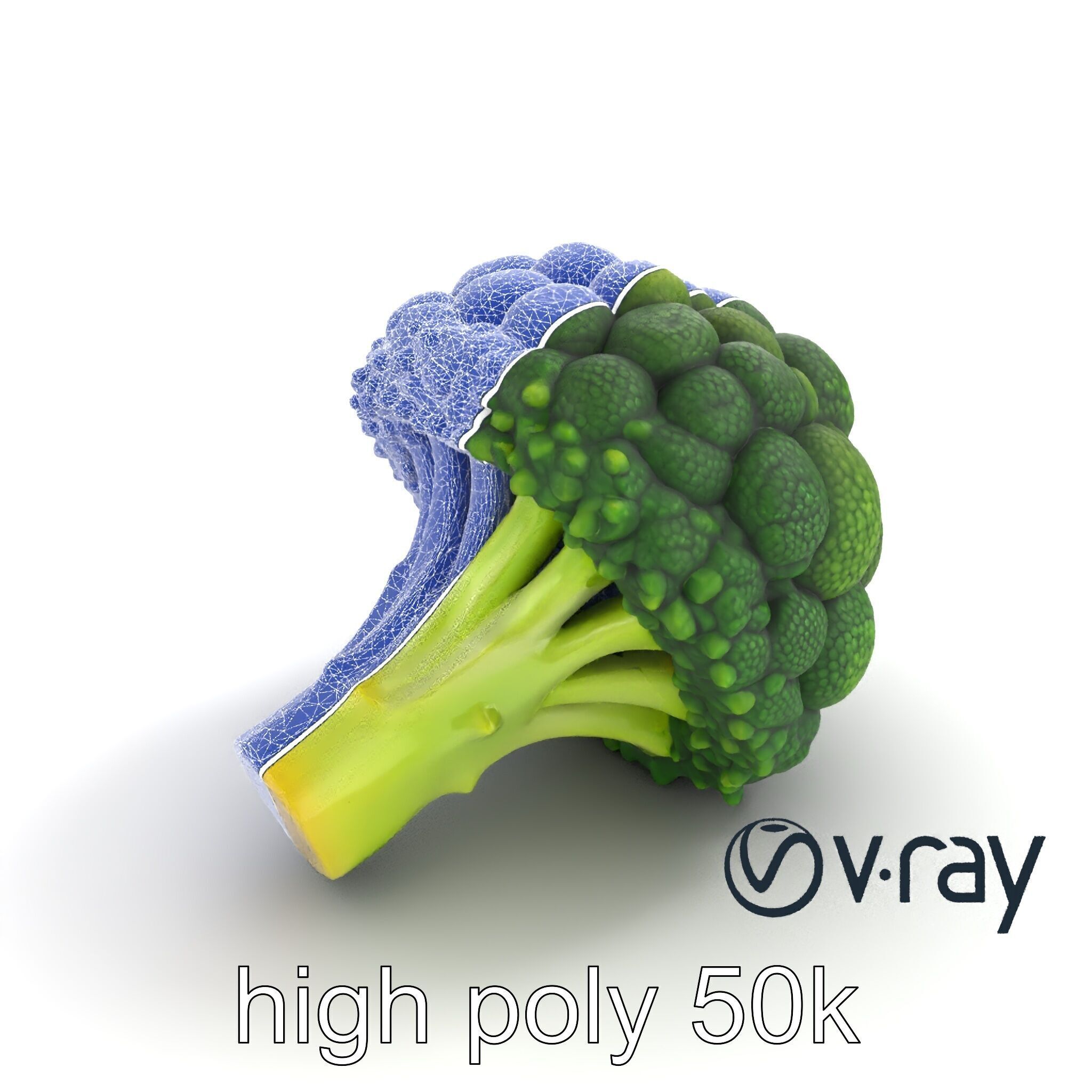 Detailed Green Broccoli Model Pack Low-poly 3D model_29