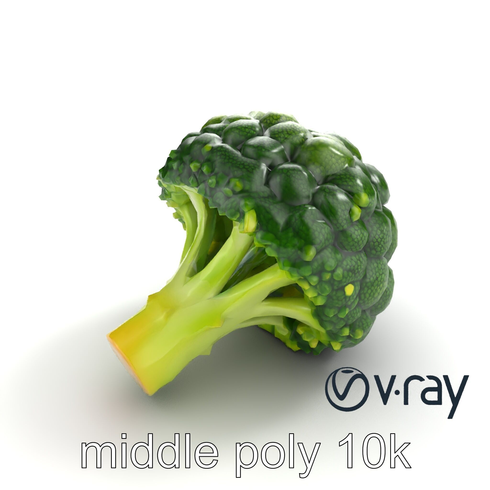 Detailed Green Broccoli Model Pack Low-poly 3D model_4