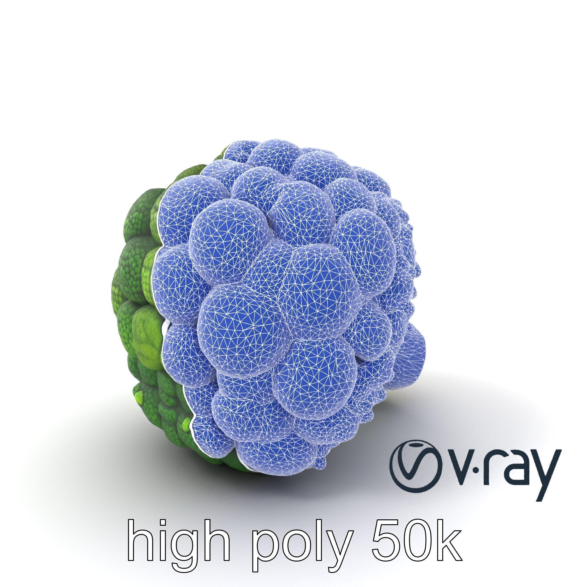 Detailed Green Broccoli Model Pack Low-poly 3D model_9